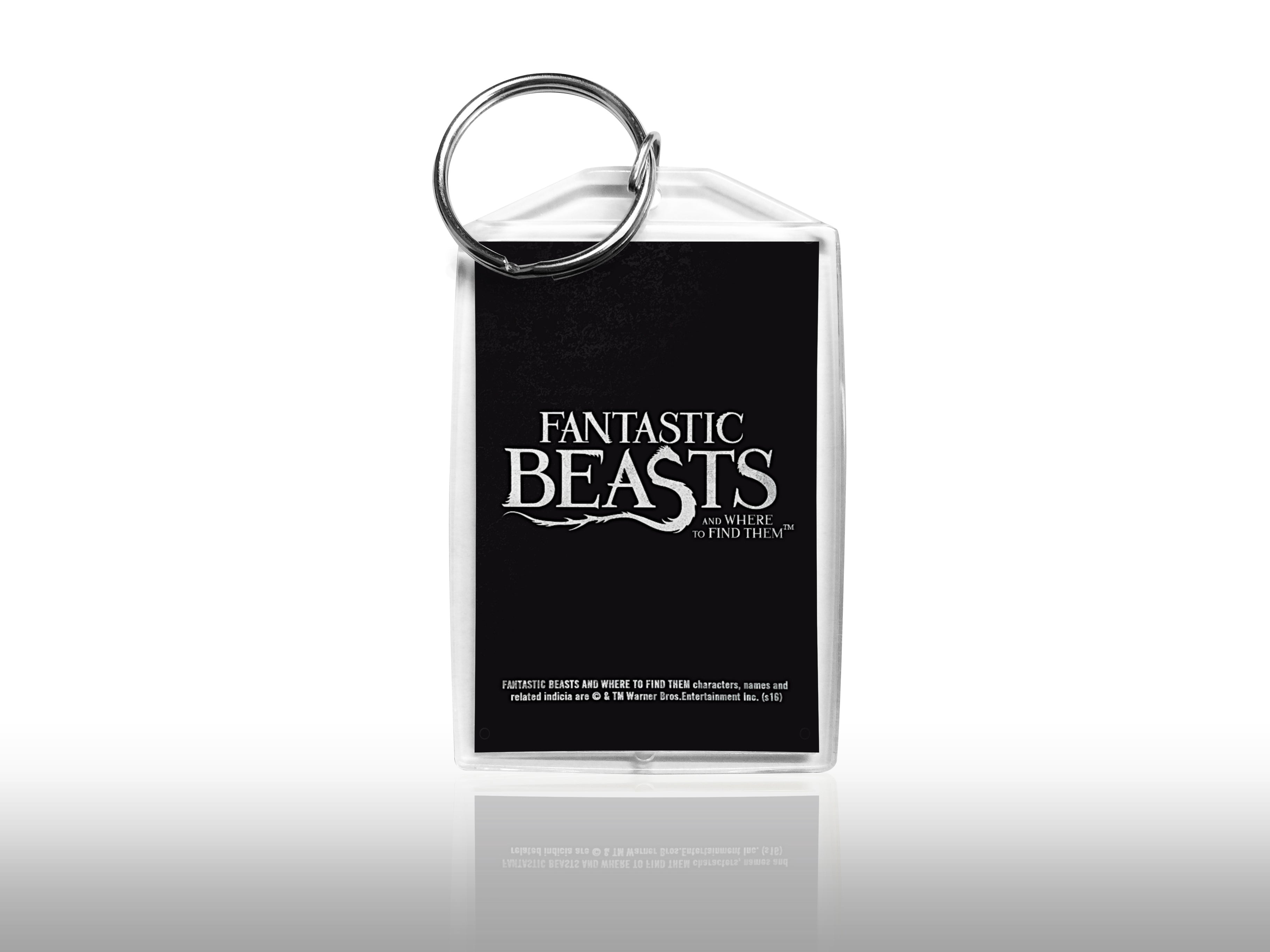 Fantastic Beasts (Poster) Keychain KRP001