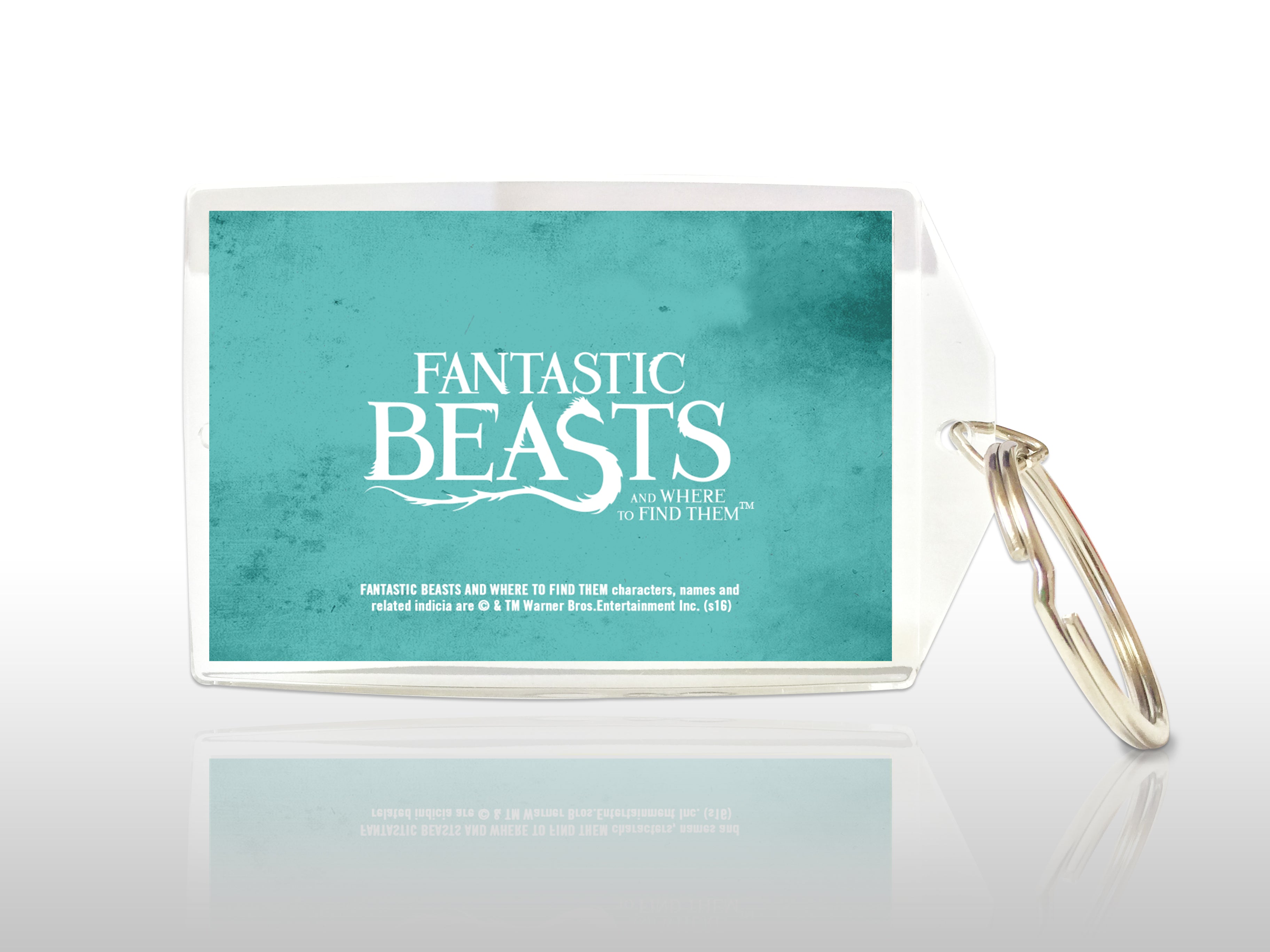 Fantastic Beasts and Where to Find Them (Wanded and Dangerous) Keychain KRP003