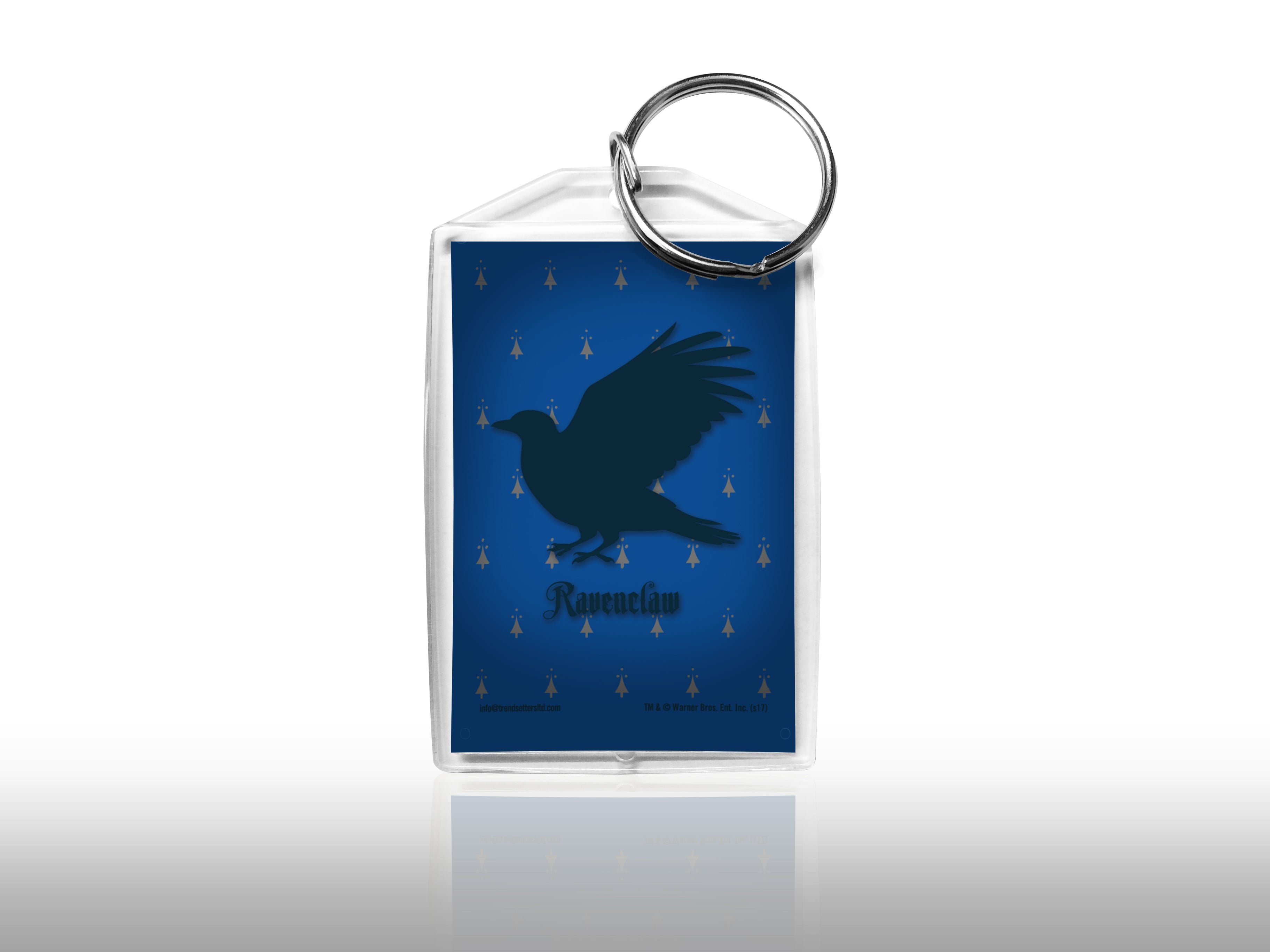 Harry Potter (Ravenclaw) Keychain KRP012