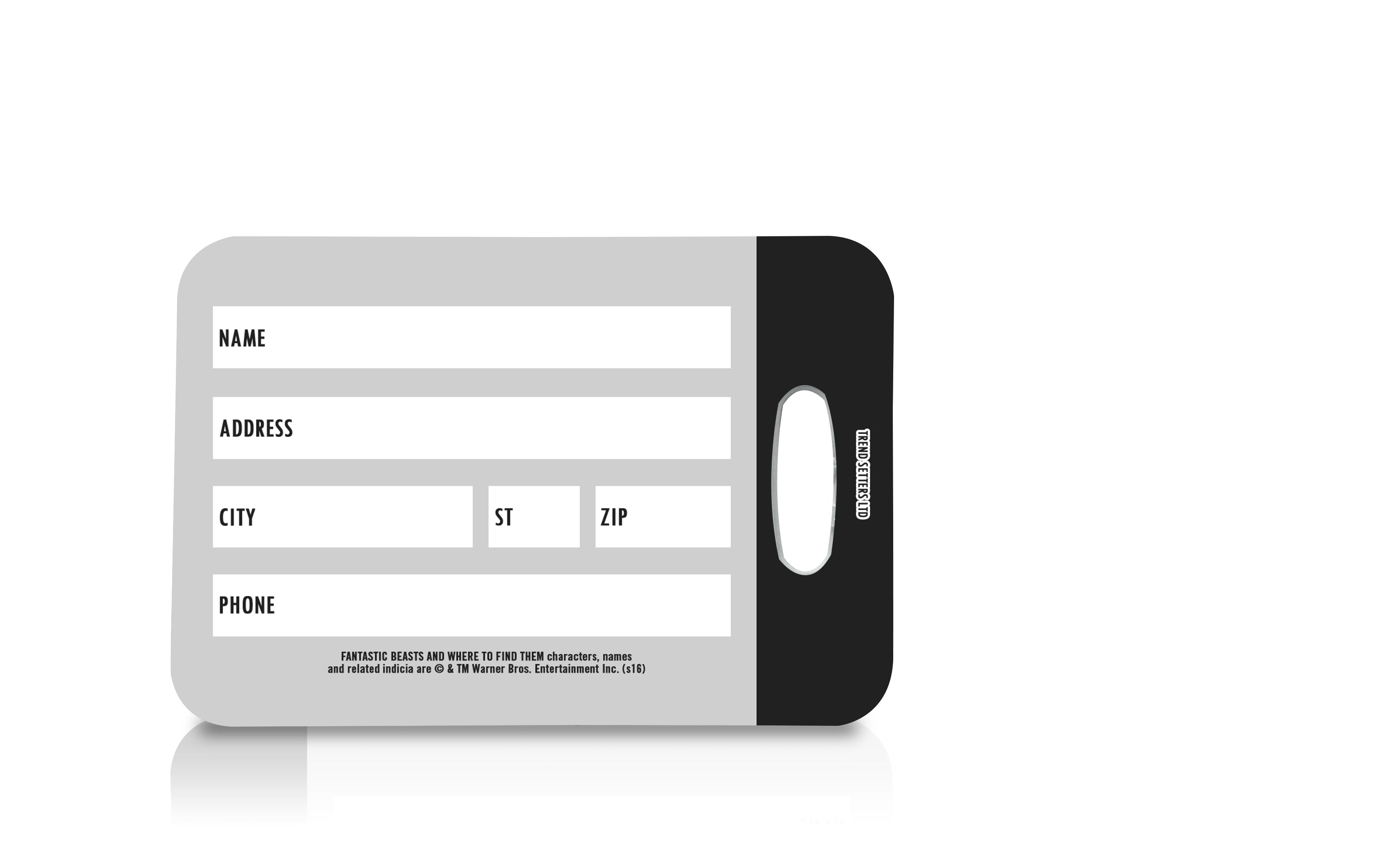 Fantastic Beasts and Where To Find Them (Broom With A View) Luggage Tag LTREC013