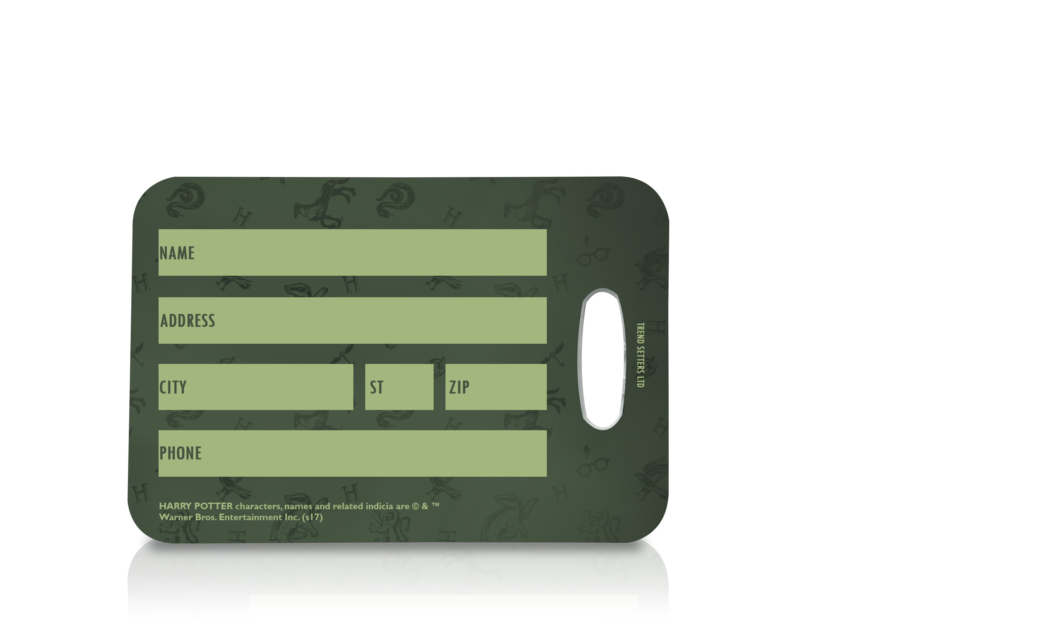 Harry Potter (Slytherin) Luggage Tag LTREC026