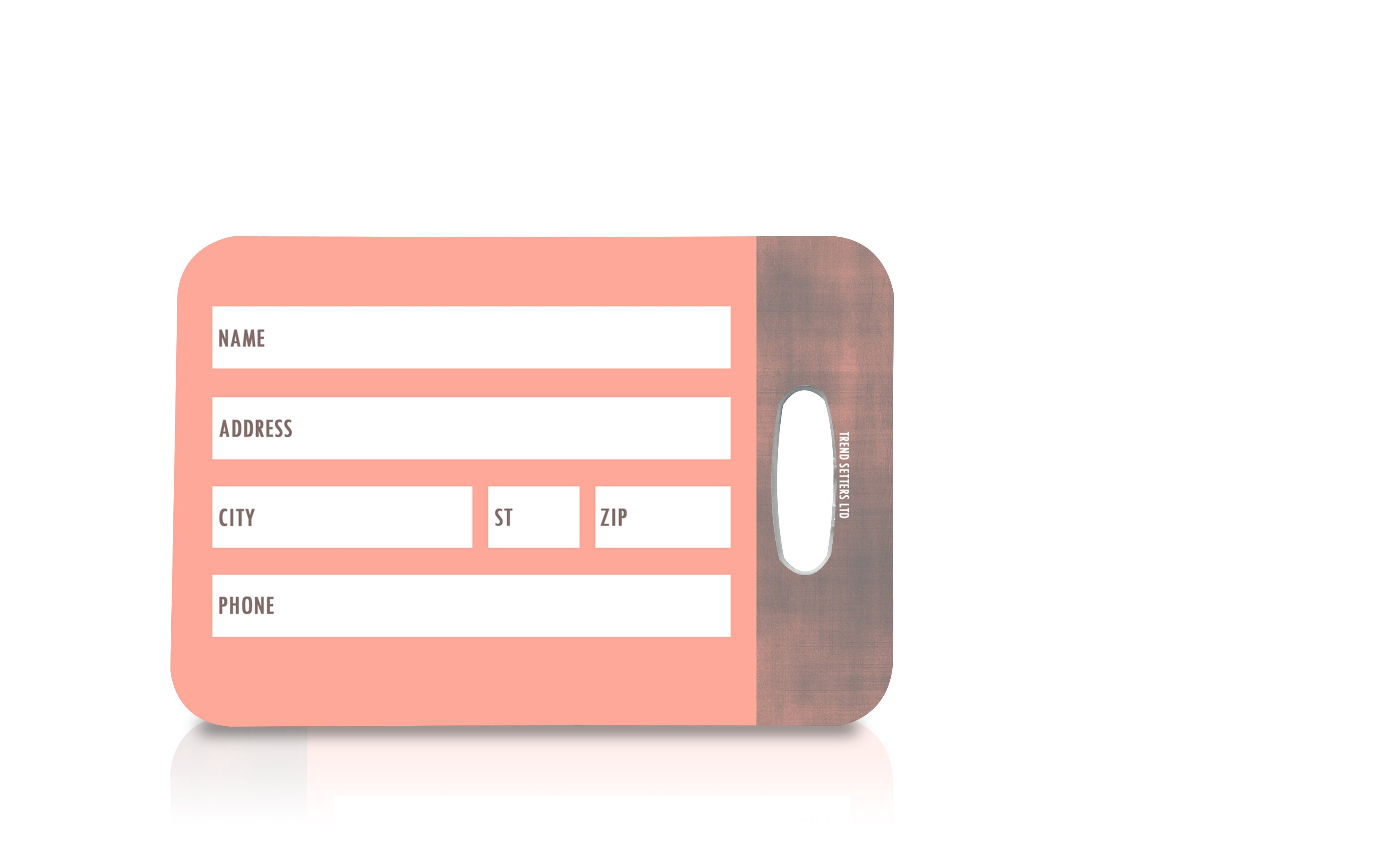 Vacation Collection (Oh The Places Youll Go- Pink) Luggage Tag LTREC038