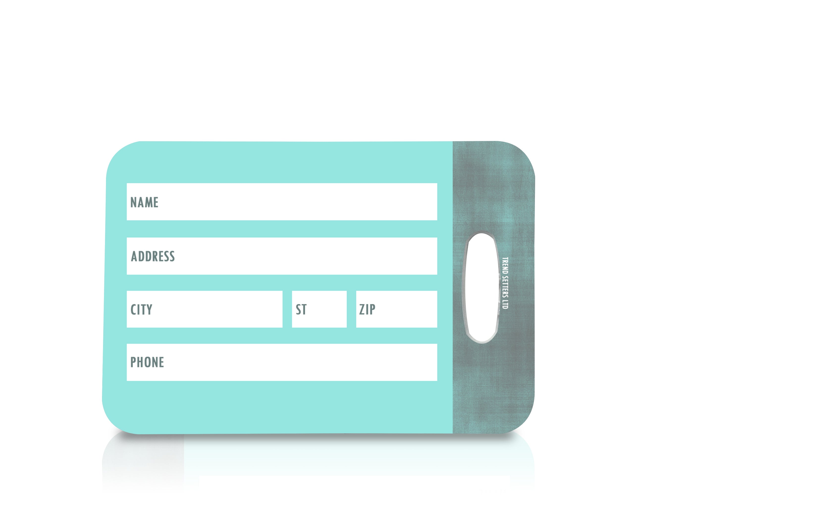 Vacation Collection (Oh The Places Youll Go- Blue) Luggage Tag LTREC039