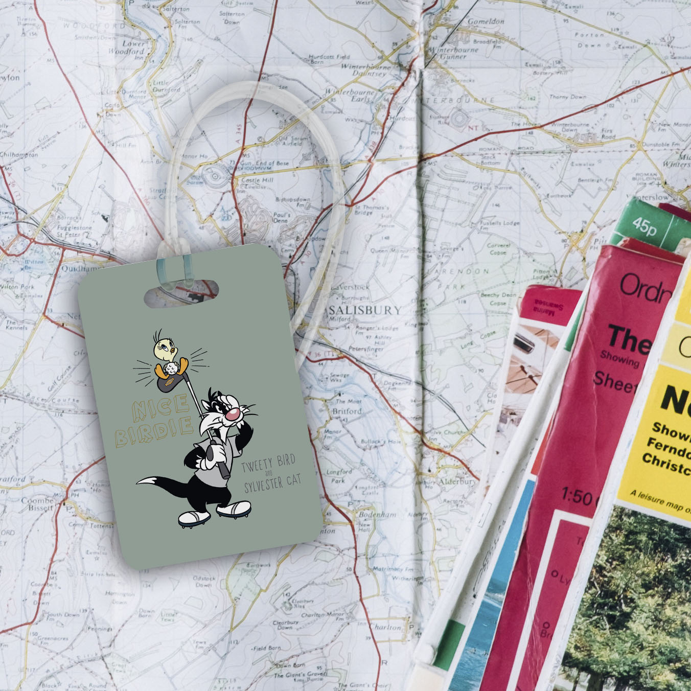 Looney Tunes (Tweety Bird & Sylvester - Nice Birdie) Luggage Tag LTREC084