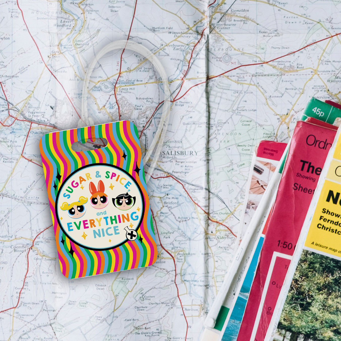 The Powerpuff Girls (Sugar Spice and Everything Nice) Luggage Tag LTREC089