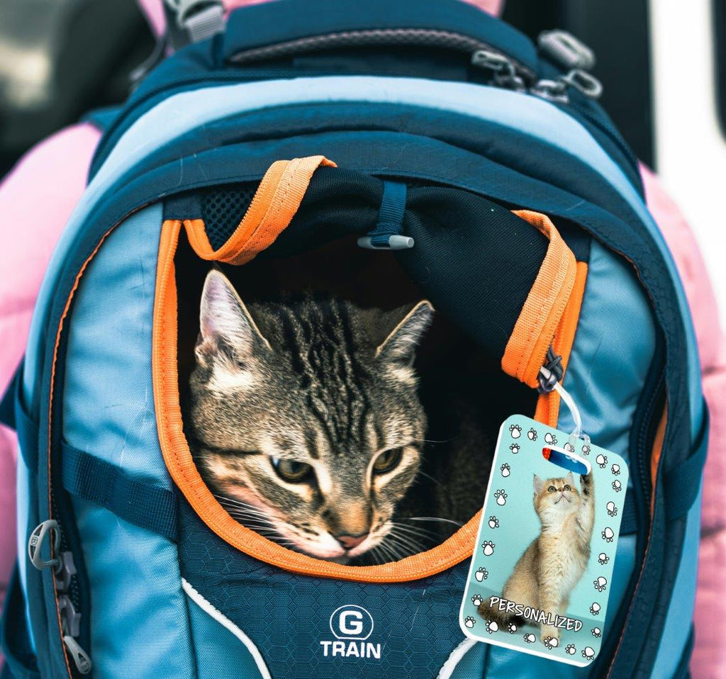 Trend Setters Original (Pet Carrier Tag) Personalized Luggage Pet Tag LTRECU098