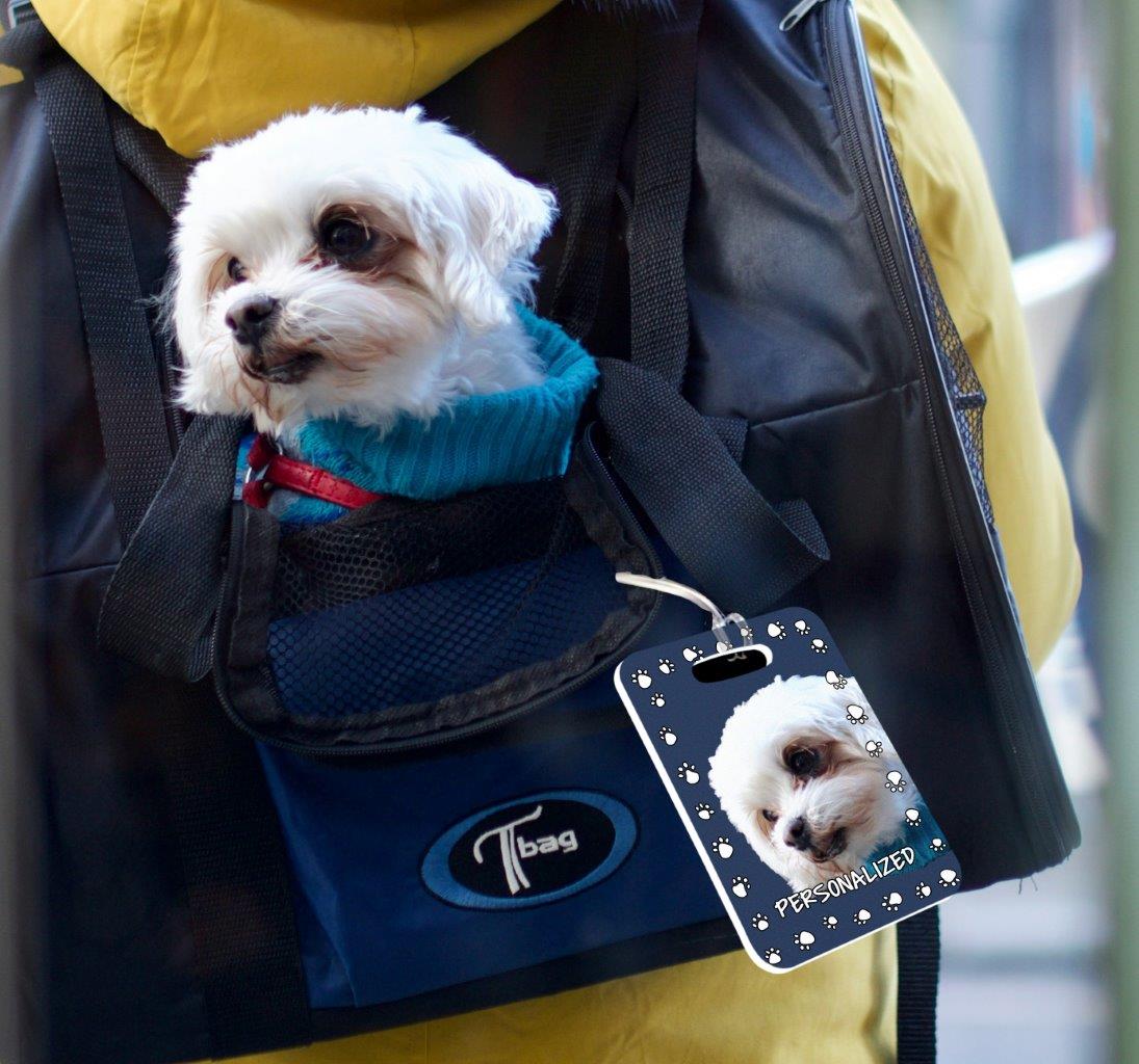 Trend Setters Original (Pet Carrier Tag) Personalized Luggage Pet Tag LTRECU098
