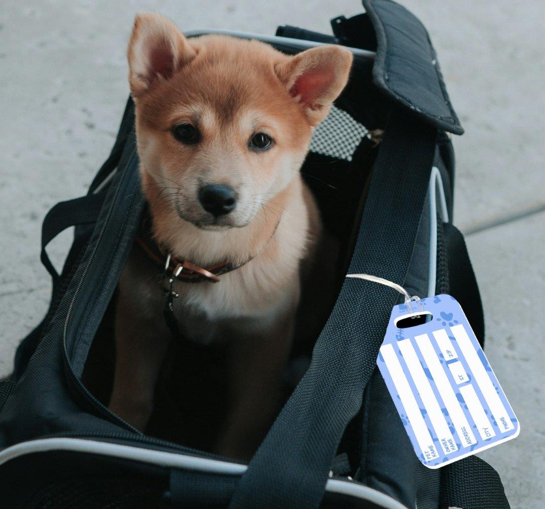Trend Setters Original (Pet Carrier Tag) Personalized Luggage Pet Tag LTRECU098