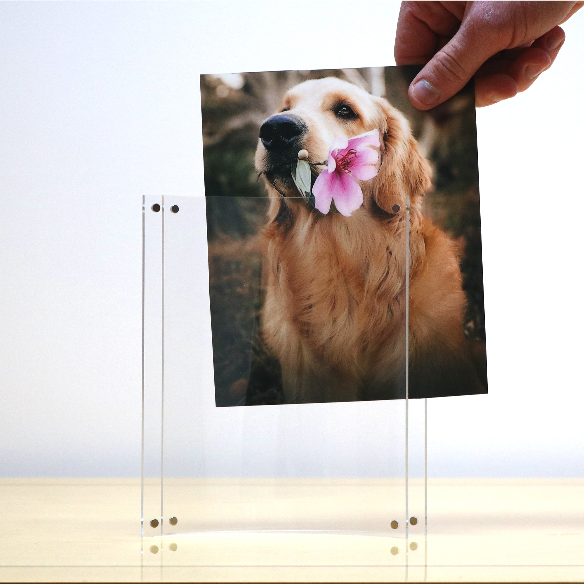 10" x 7" Lightpix™ Everlasting Photo Print Insert - Horizontal