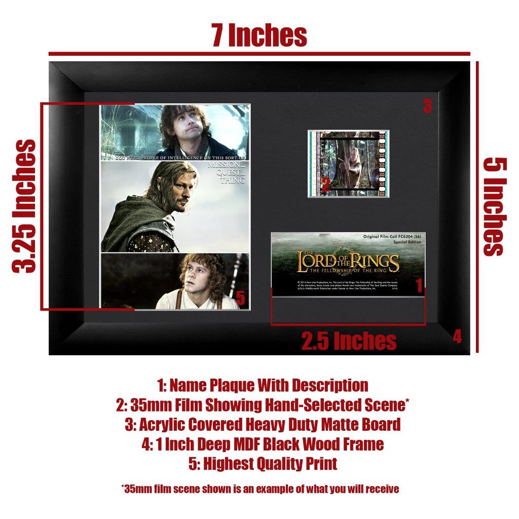 The Lord of the Rings: The Fellowship of the Ring (S6) Minicell FilmCells Framed Desktop Presentation USFC6204