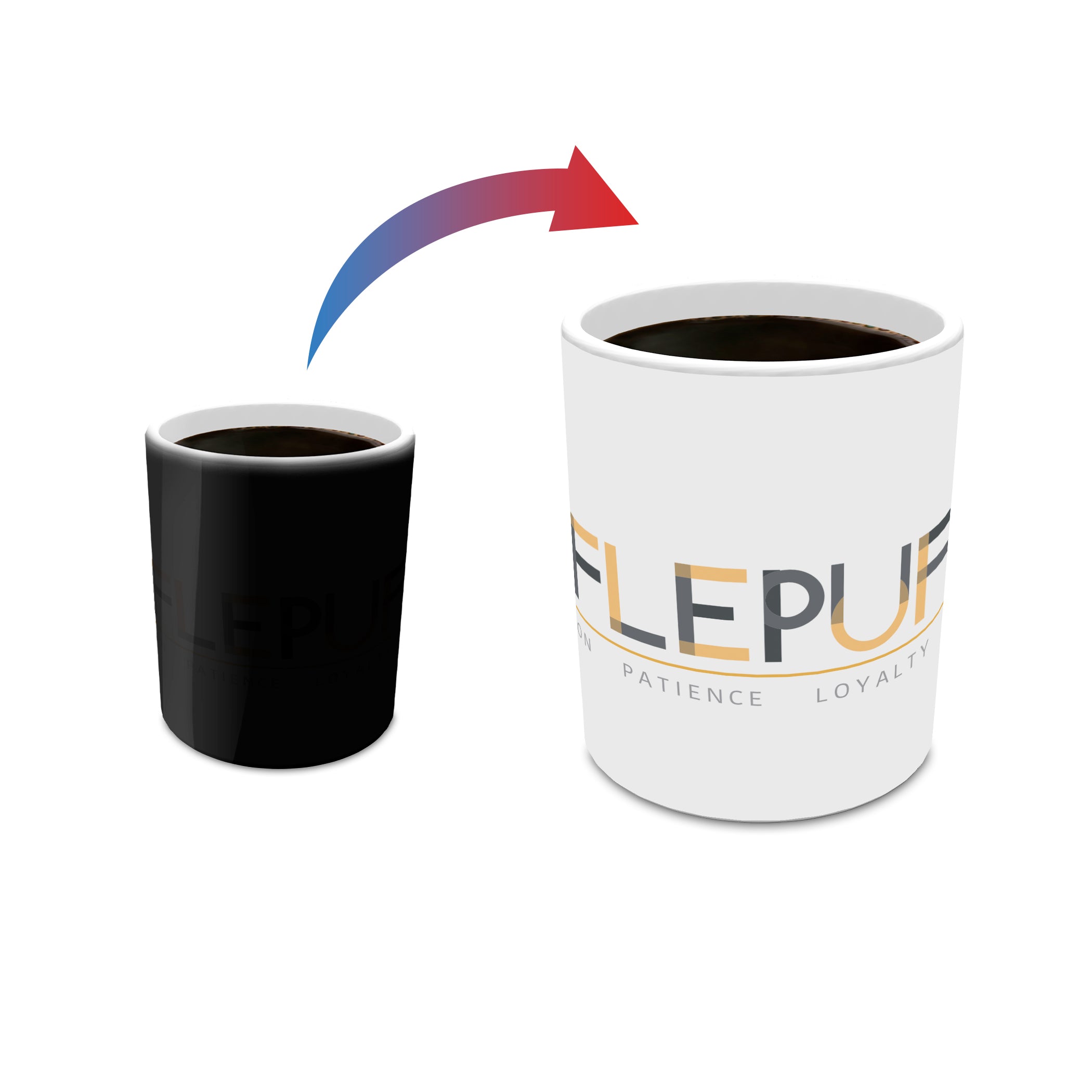 Harry Potter (Discover Hufflepuff) Morphing Mugs®  Heat-Sensitive Mug MMUG1136