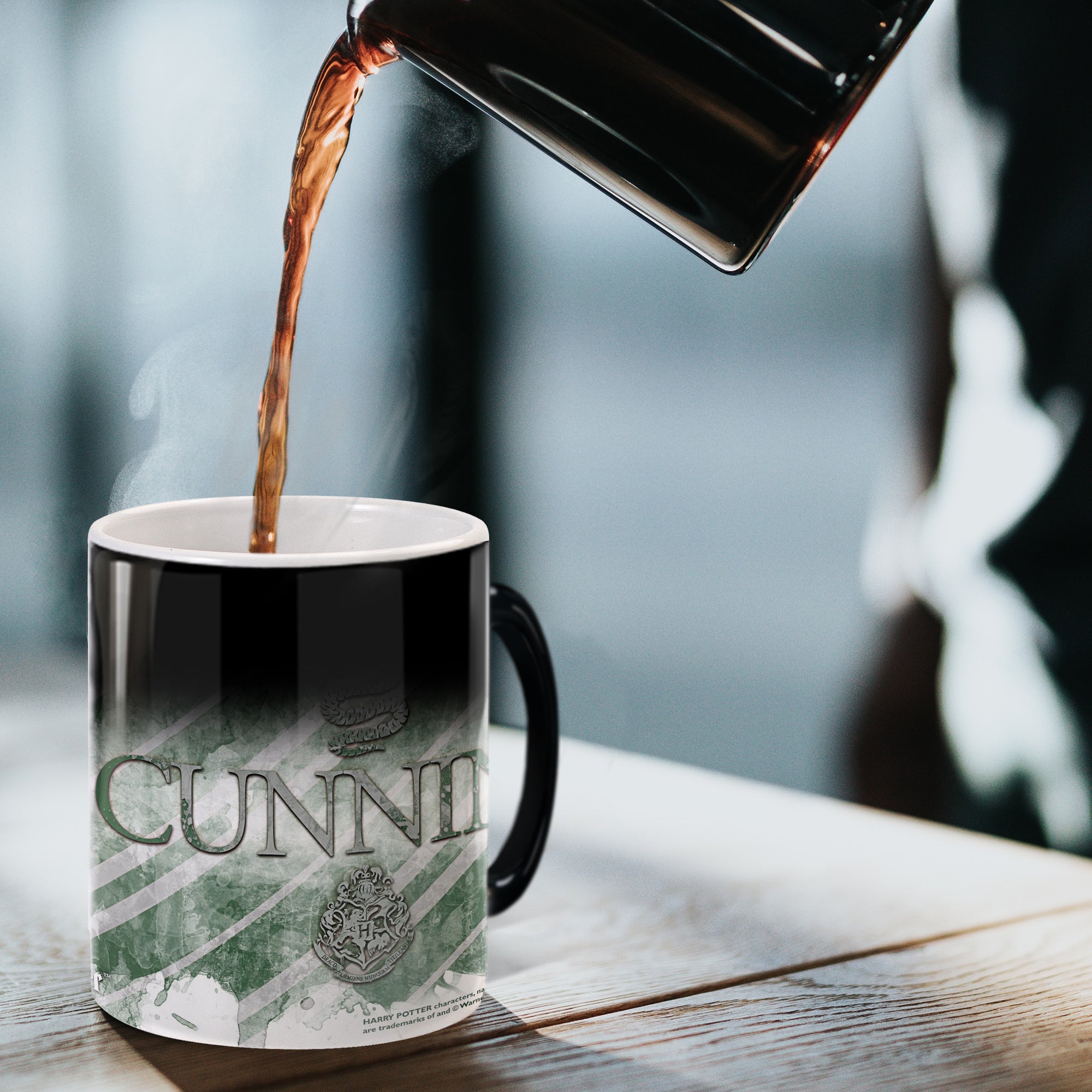 Harry Potter (Slytherin) Morphing Mugs® Heat-Sensitive Mug MMUG132