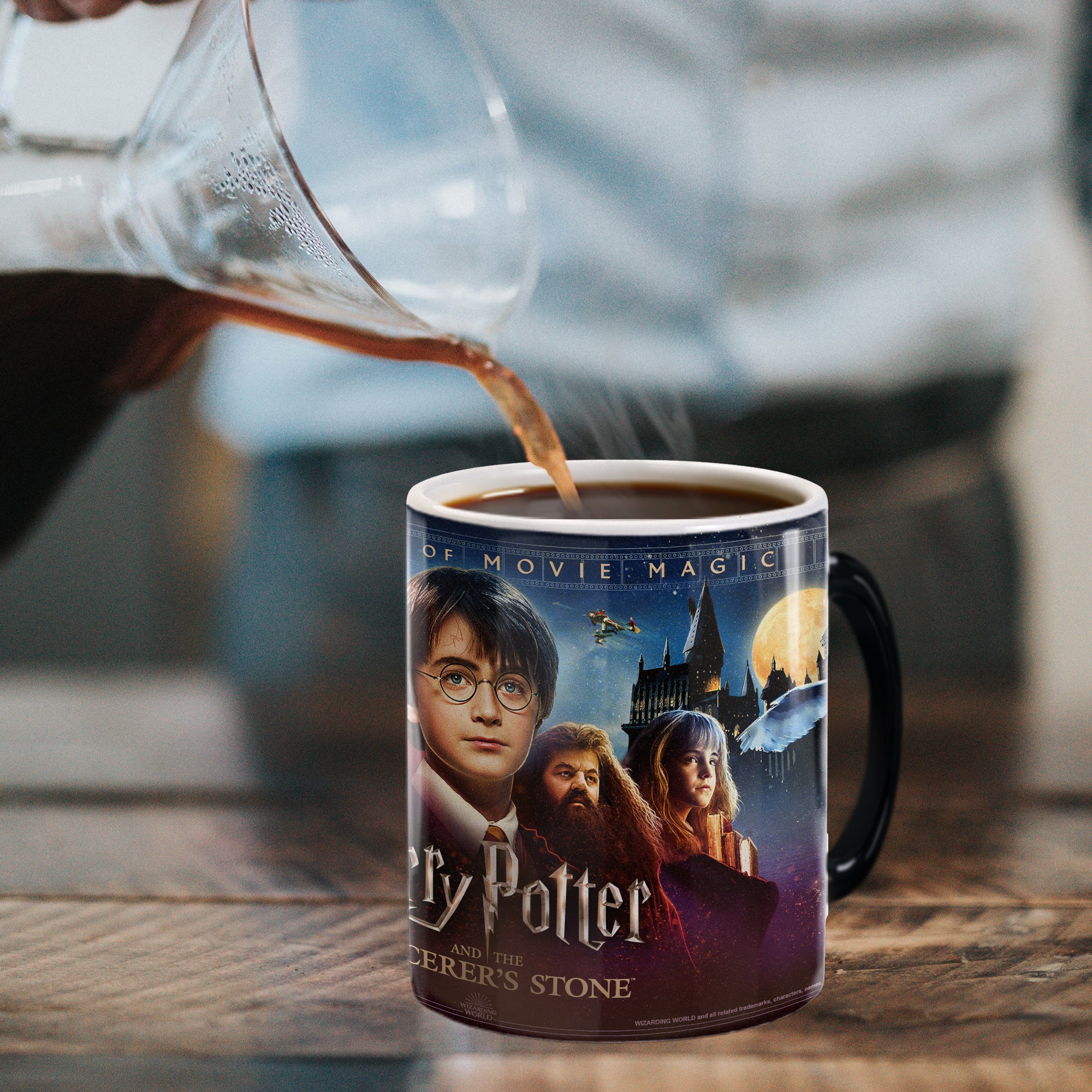 Harry Potter (20th Anniversary of Sorcerers Stone) Morphing Mugs®  Heat-Sensitive Mug MMUG1364