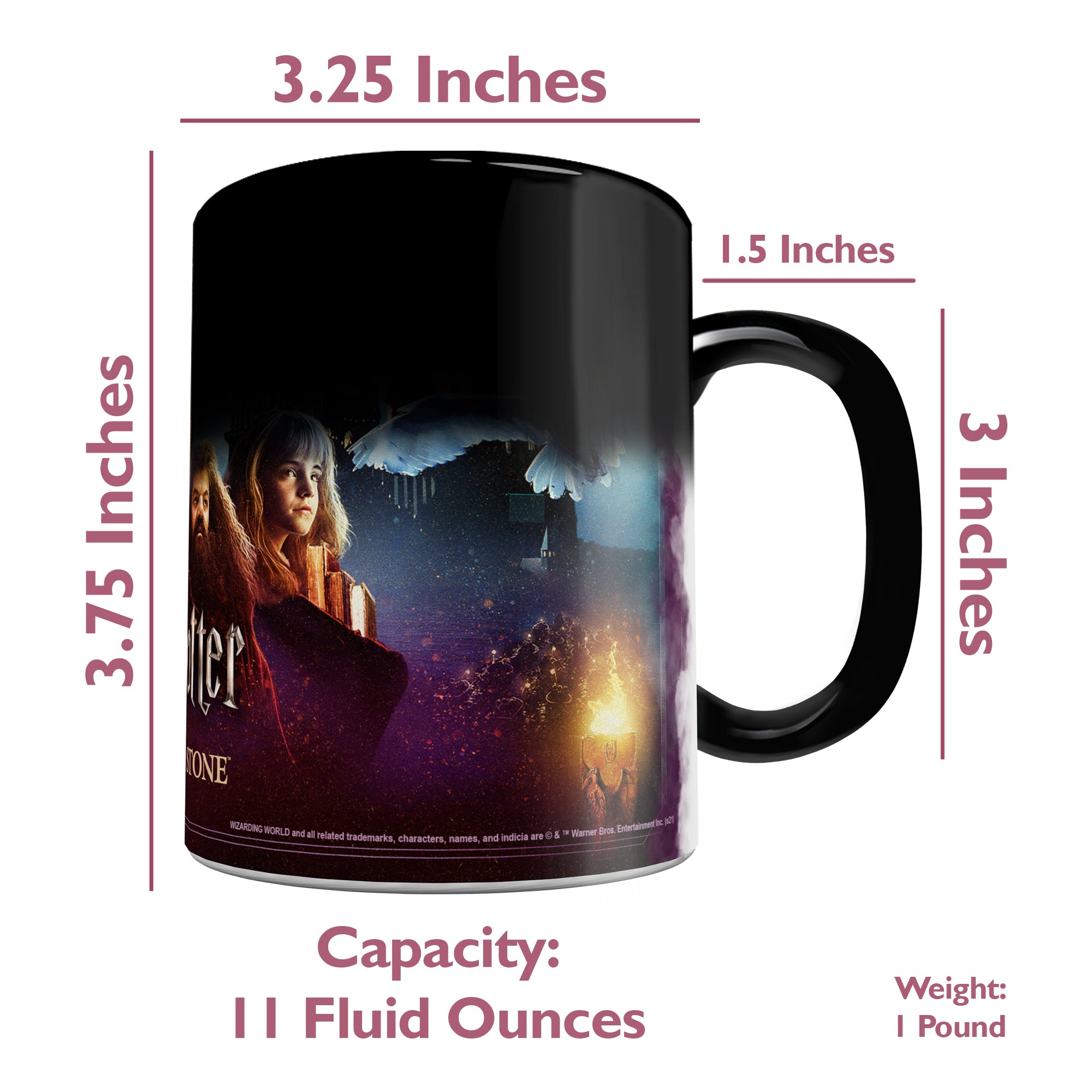 Harry Potter (20th Anniversary of Sorcerers Stone) Morphing Mugs®  Heat-Sensitive Mug MMUG1364