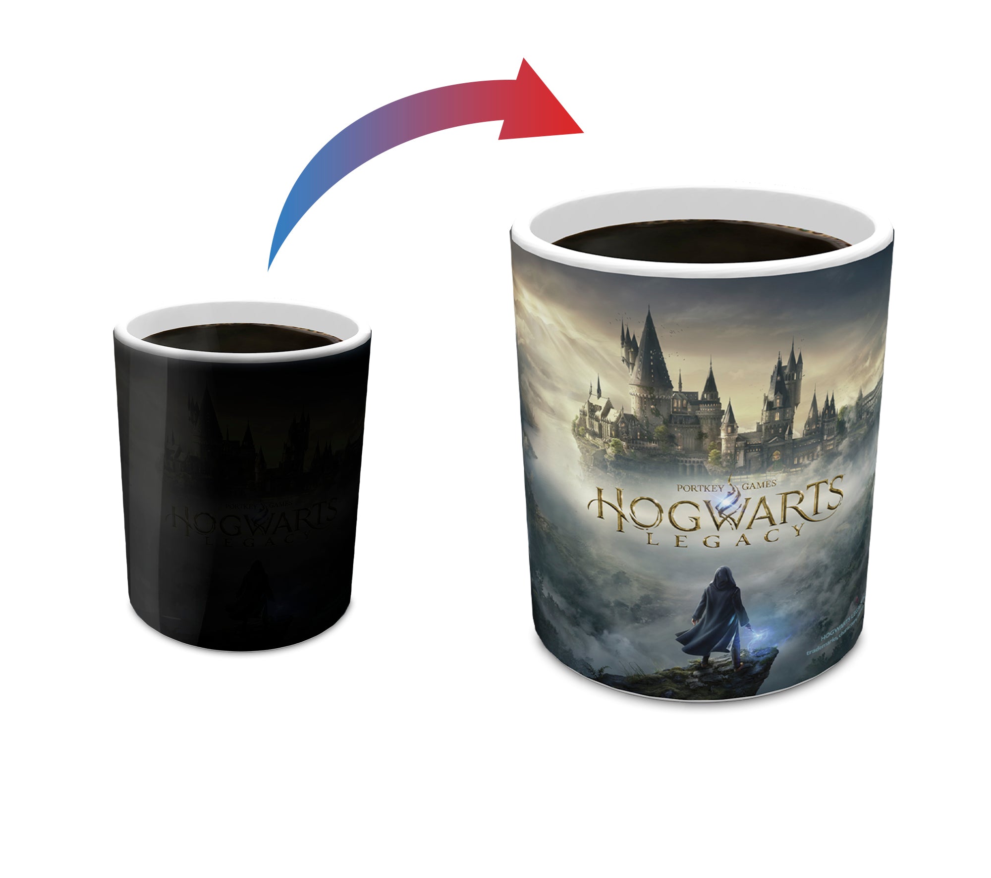 Harry Potter Hogwarts Legacy (Gameplay) Morphing Mugs®  Heat-Sensitive Mug MMUG1550