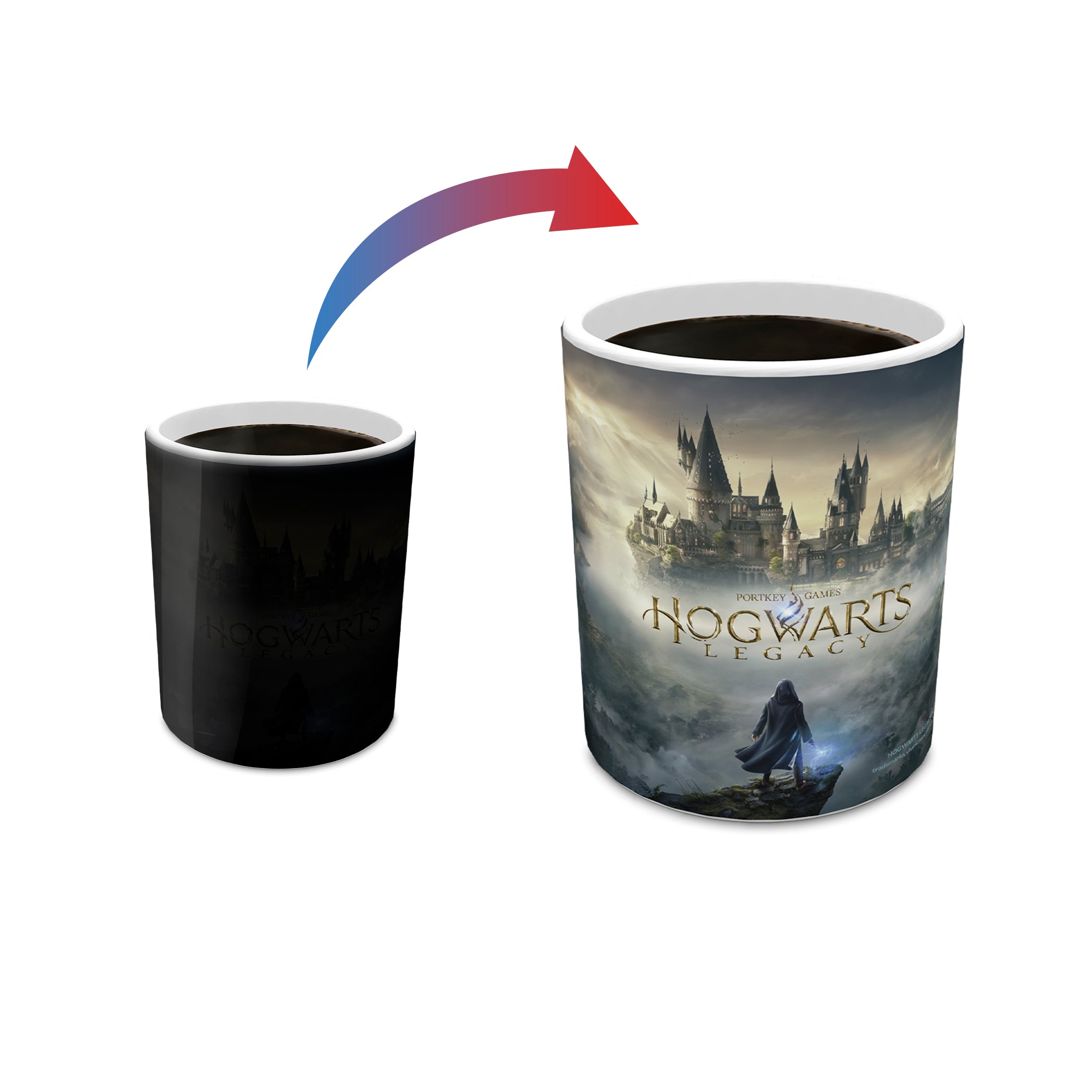 Harry Potter Hogwarts Legacy (Gameplay) Morphing Mugs®  Heat-Sensitive Mug MMUG1550