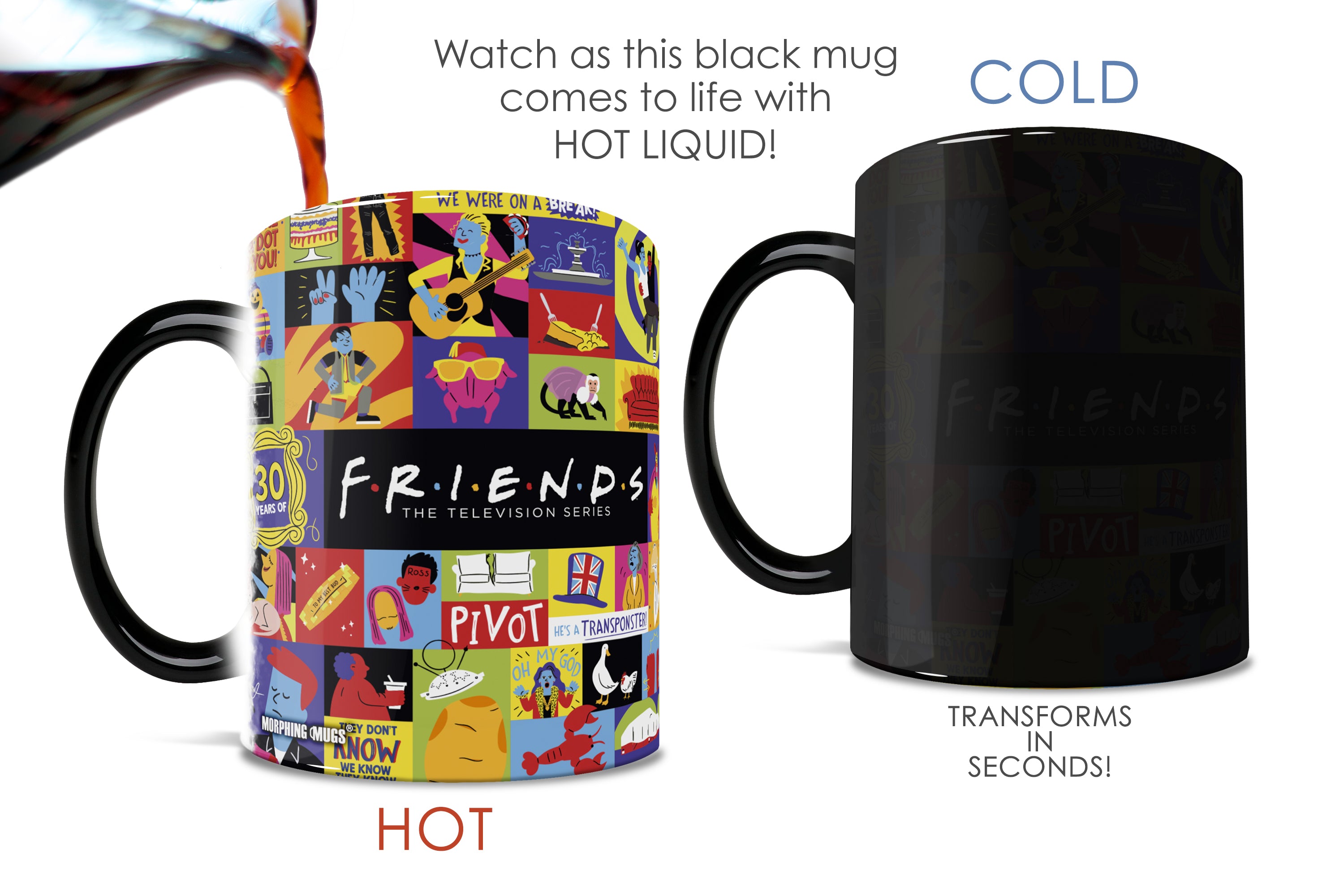 Friends: The Television Show 30th Anniversary (30 Years of Friends) Morphing Mugs® Heat-Sensitive Mug MMUG1615
