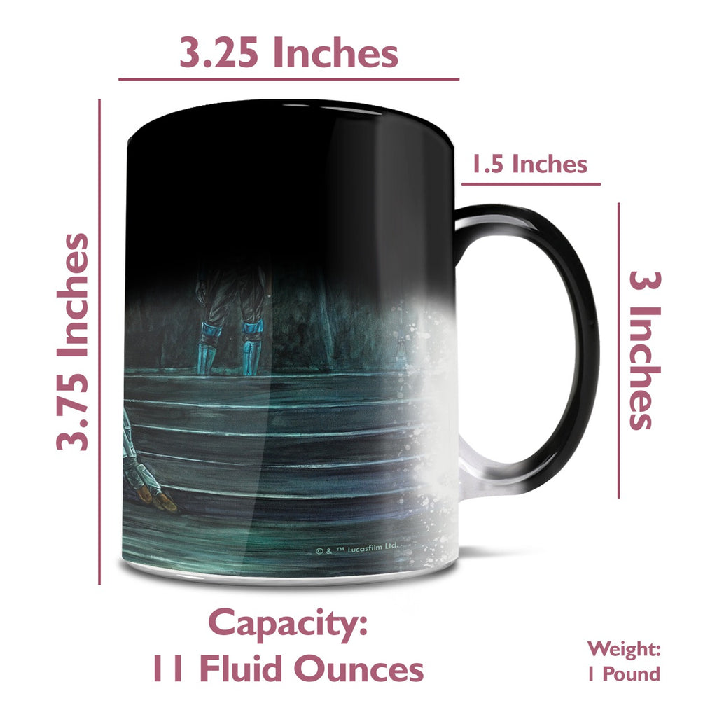 Star Wars (The Mandalorian - This is the Way) Morphing Mugs®  Heat-Sensitive Mug MMUG1660