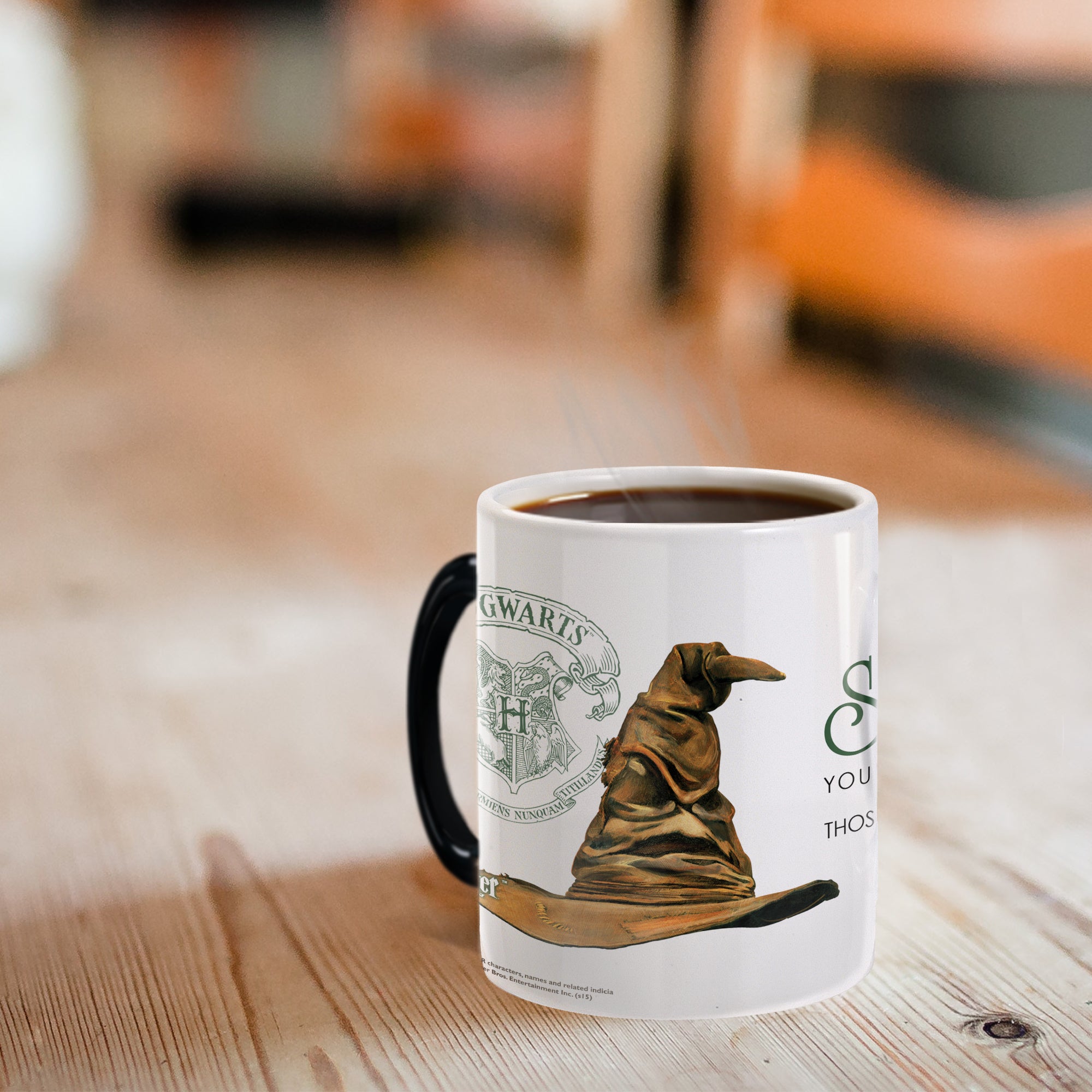 Harry Potter (Sorting Hat Slytherin) Morphing Mugs® Heat Sensitive Mug MMUG254