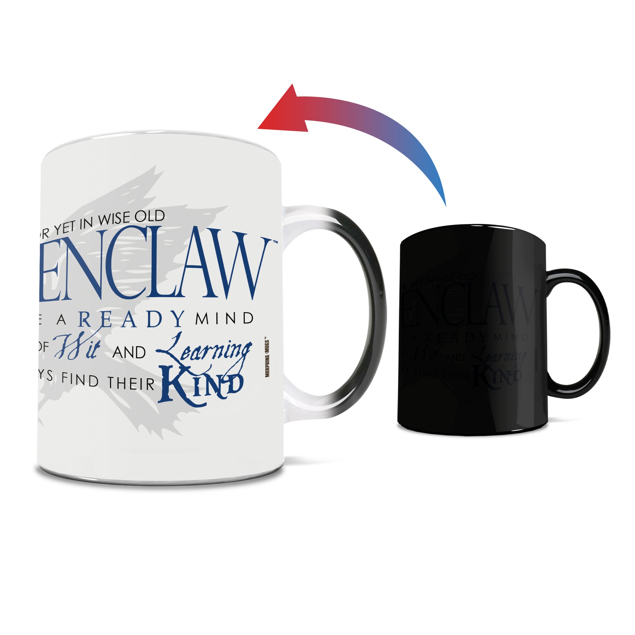 Harry Potter (Sorting Hat Ravenclaw) Morphing Mugs® Heat Sensitive Mug MMUG256