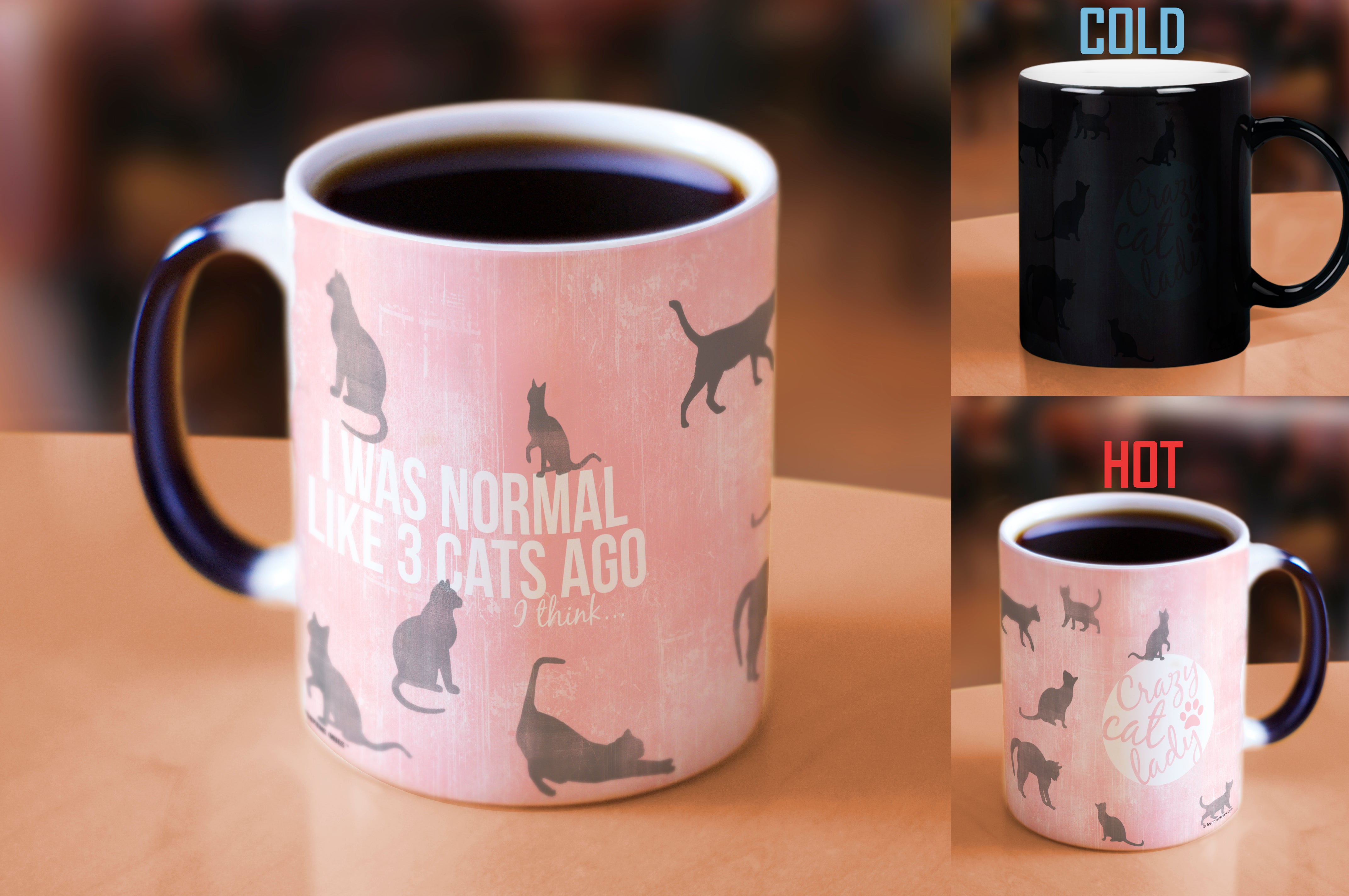 Pet Collection (Crazy Cat Lady) Morphing Mugs® Heat-Sensitive Mug MMUG355