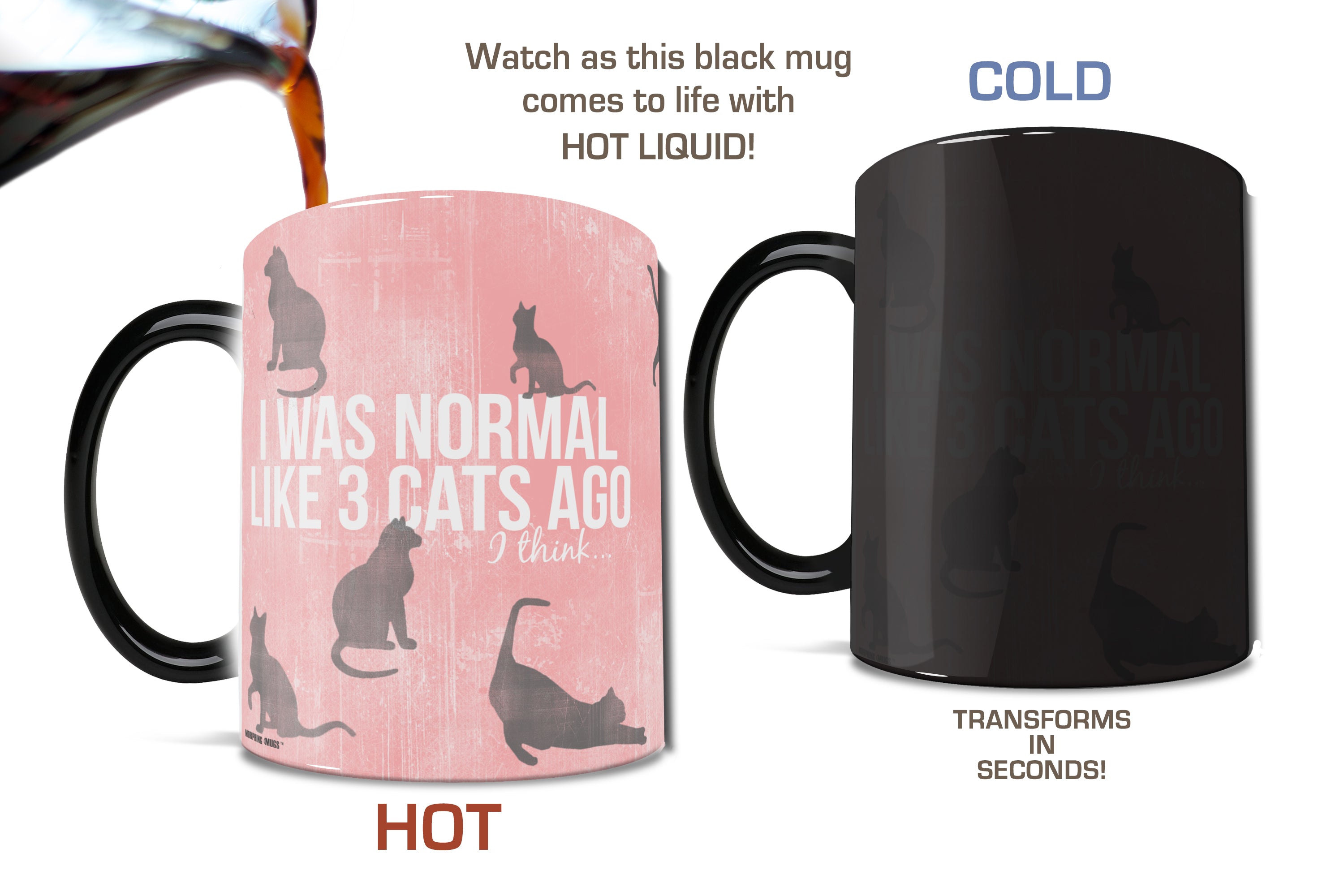 Pet Collection (Crazy Cat Lady) Morphing Mugs® Heat-Sensitive Mug MMUG355