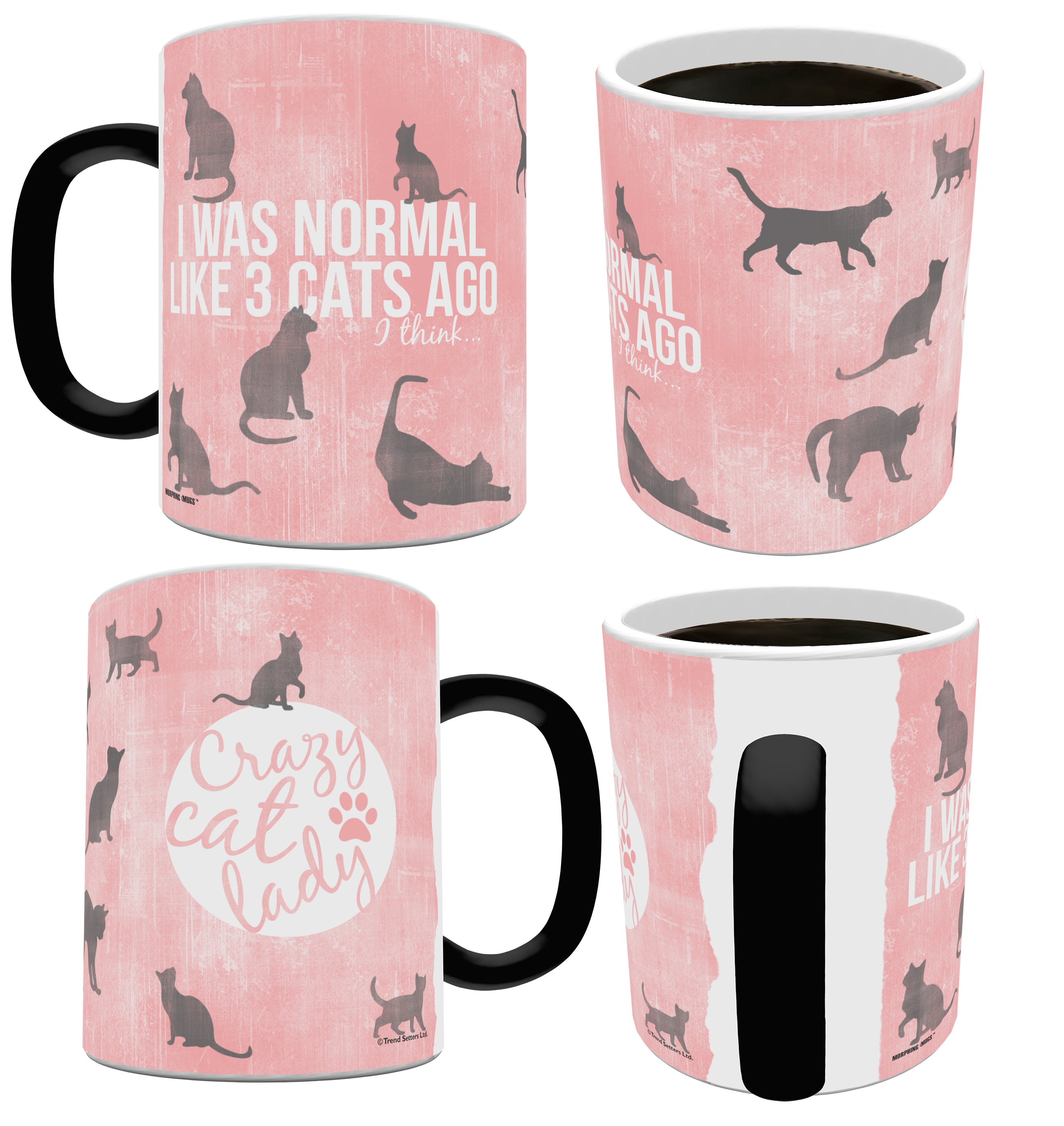 Pet Collection (Crazy Cat Lady) Morphing Mugs® Heat-Sensitive Mug MMUG355