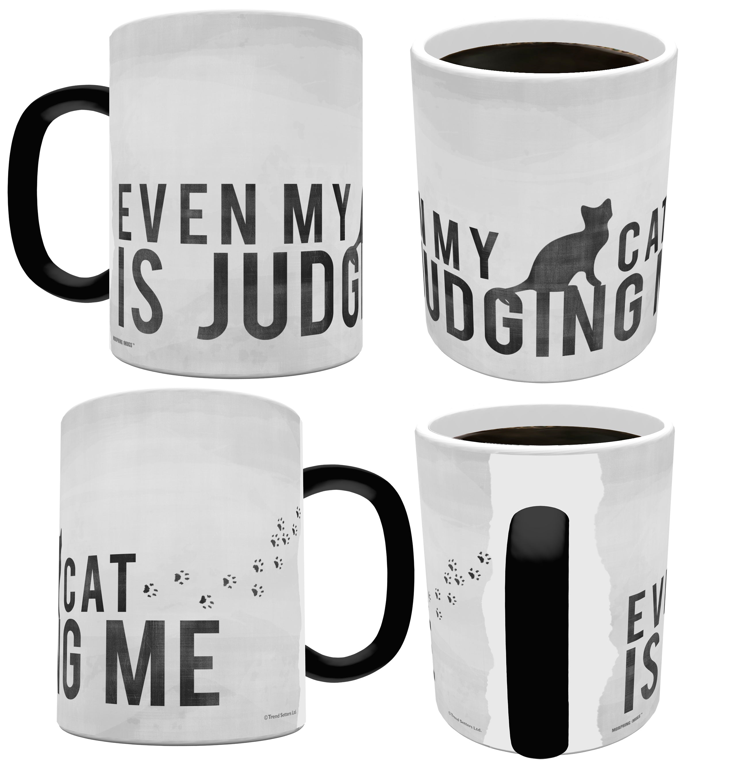Pet Collection (Judg Mental Cat) Morphing Mugs® Heat-Sensitive Mug MMUG358