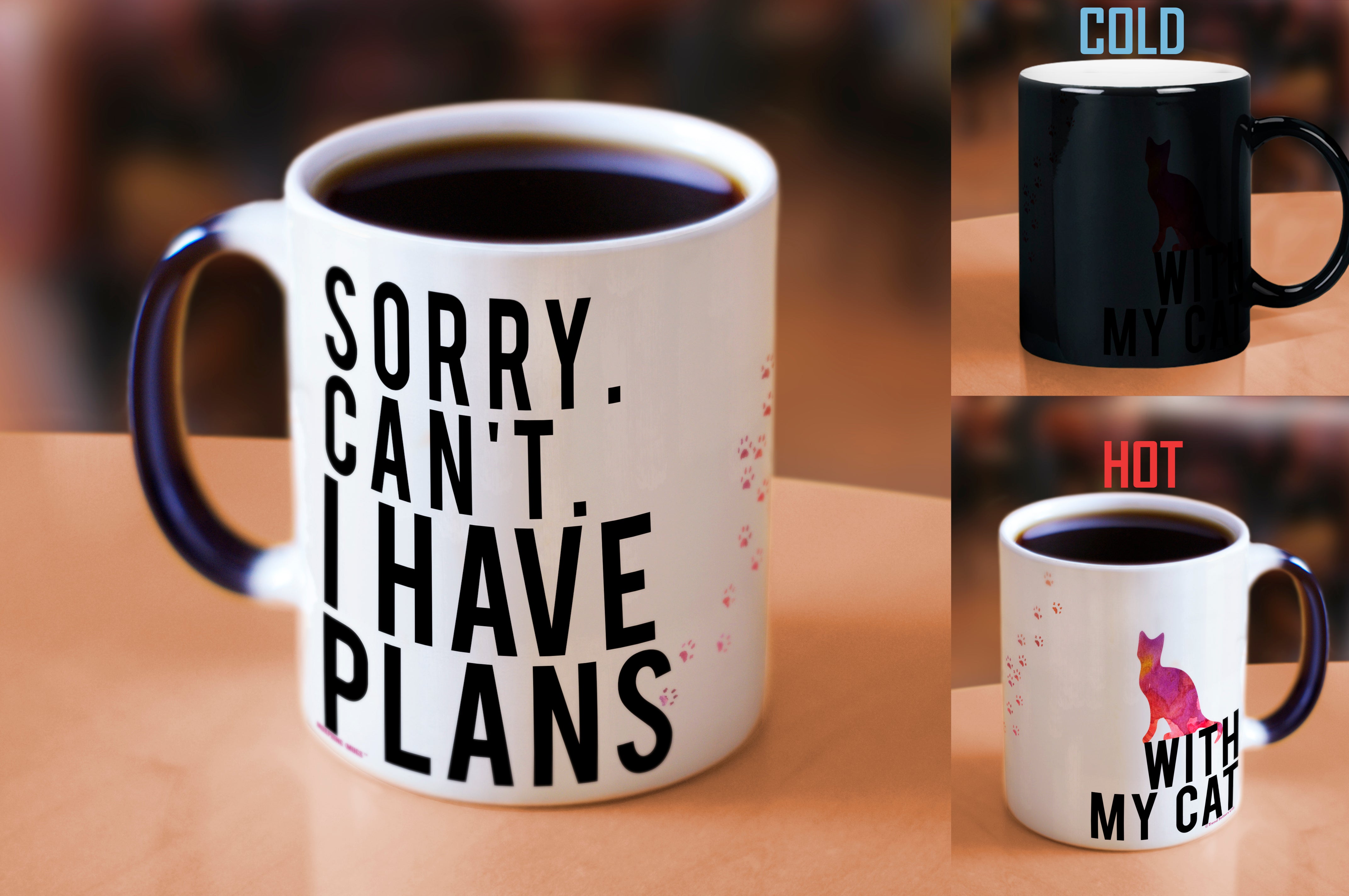 Pet Collection (Cat Plans) Morphing Mugs® Heat-Sensitive Mug MMUG359