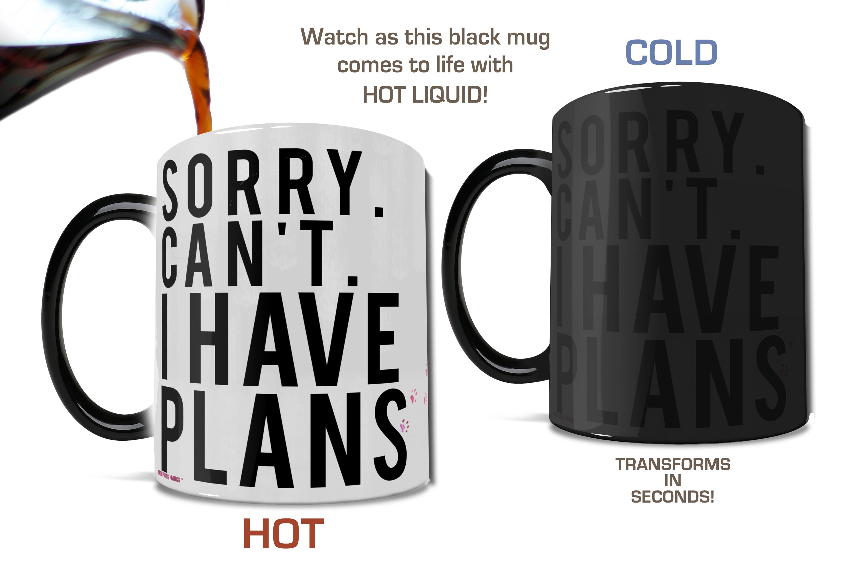 Pet Collection (Cat Plans) Morphing Mugs® Heat-Sensitive Mug MMUG359