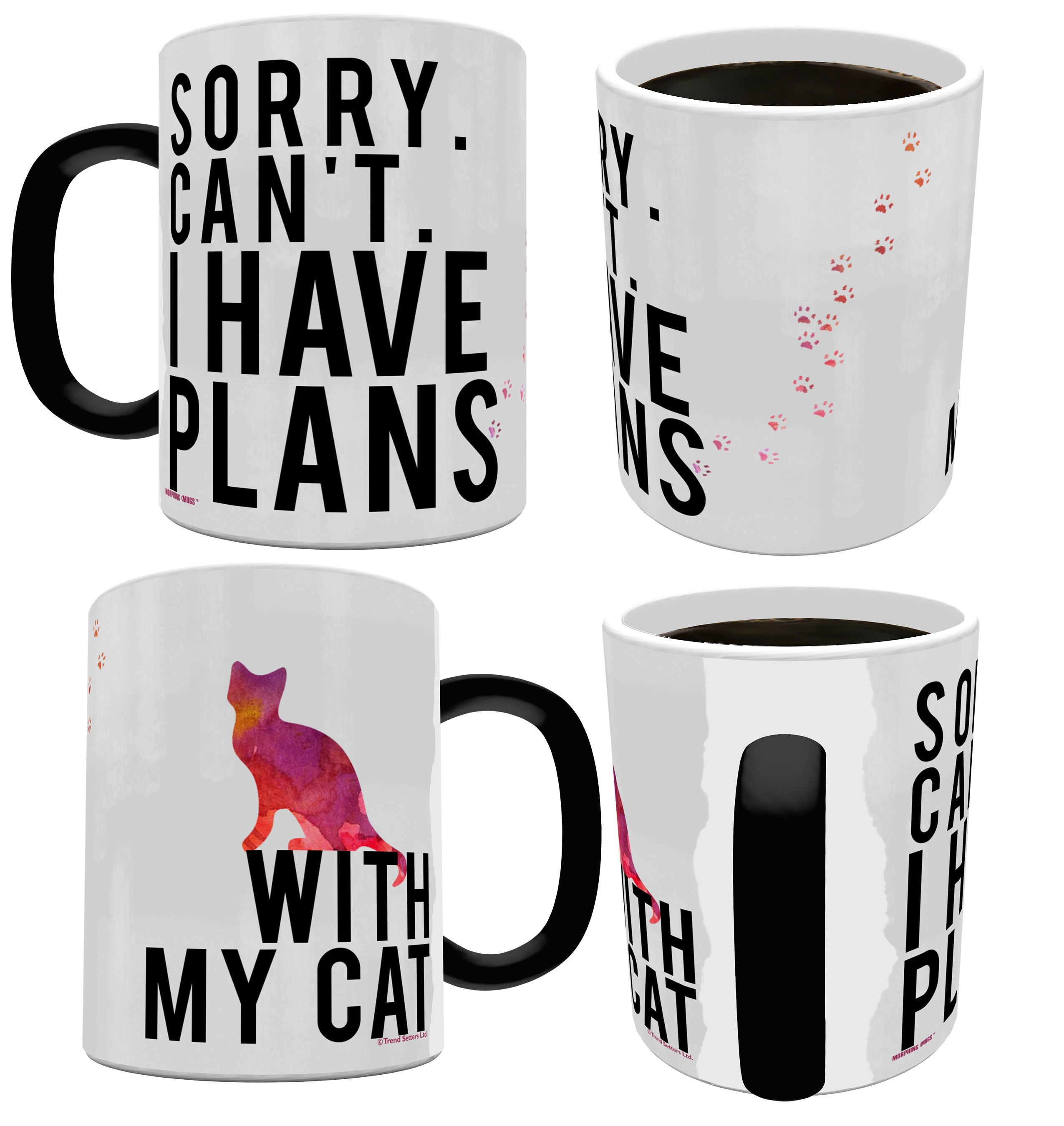 Pet Collection (Cat Plans) Morphing Mugs® Heat-Sensitive Mug MMUG359