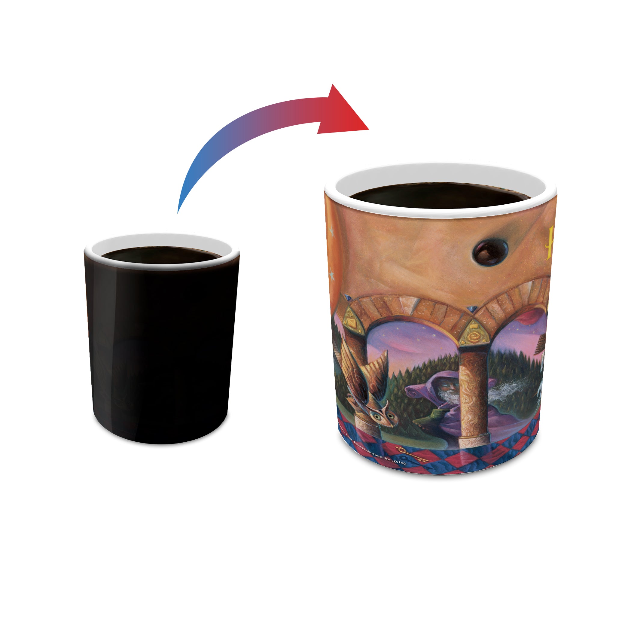 Harry Potter (The Sorcerers Stone) Morphing Mugs®  Heat-Sensitive Mug MMUG463