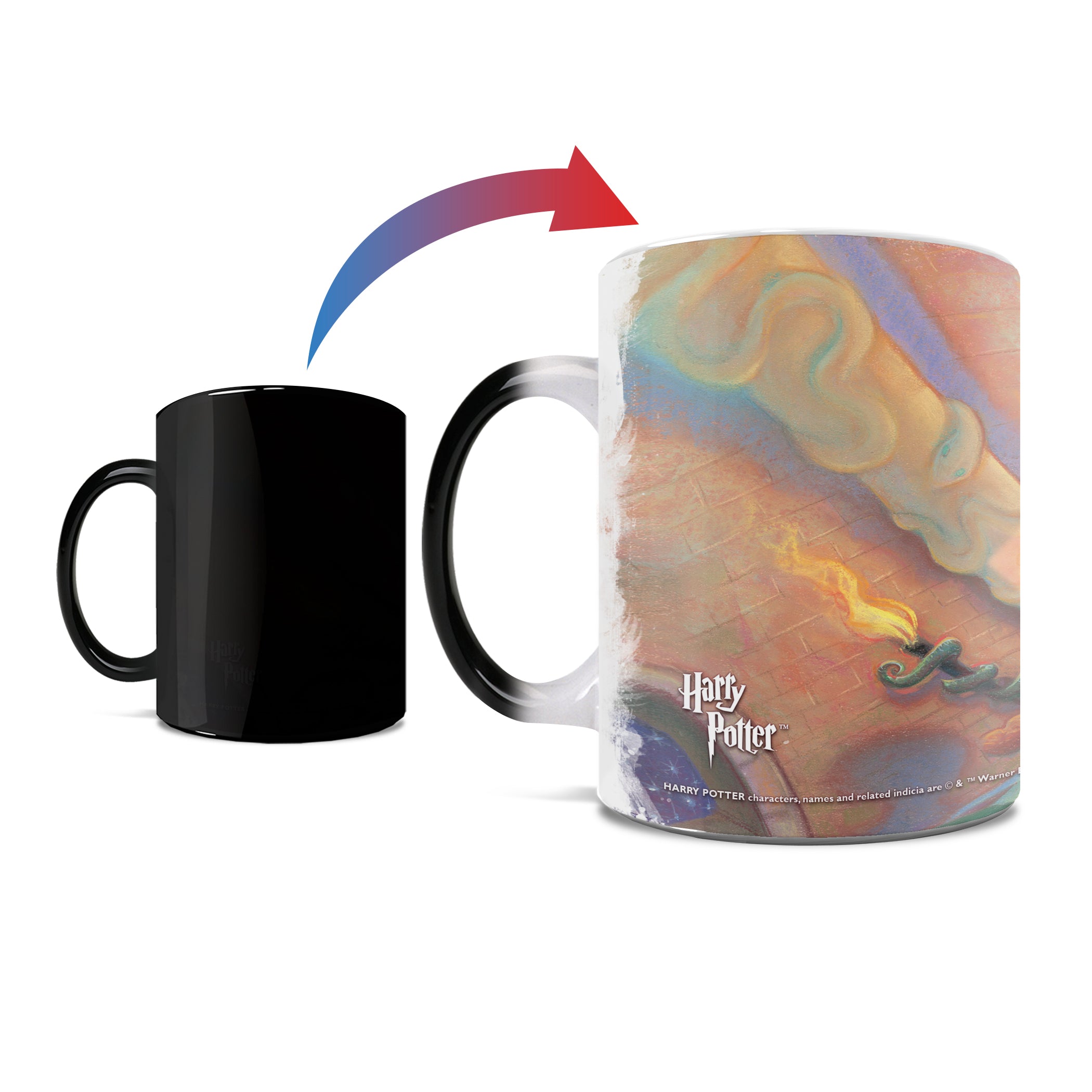Harry Potter (The Chamber of Secrets) Morphing Mugs® Heat-Sensitive Mug MMUG464