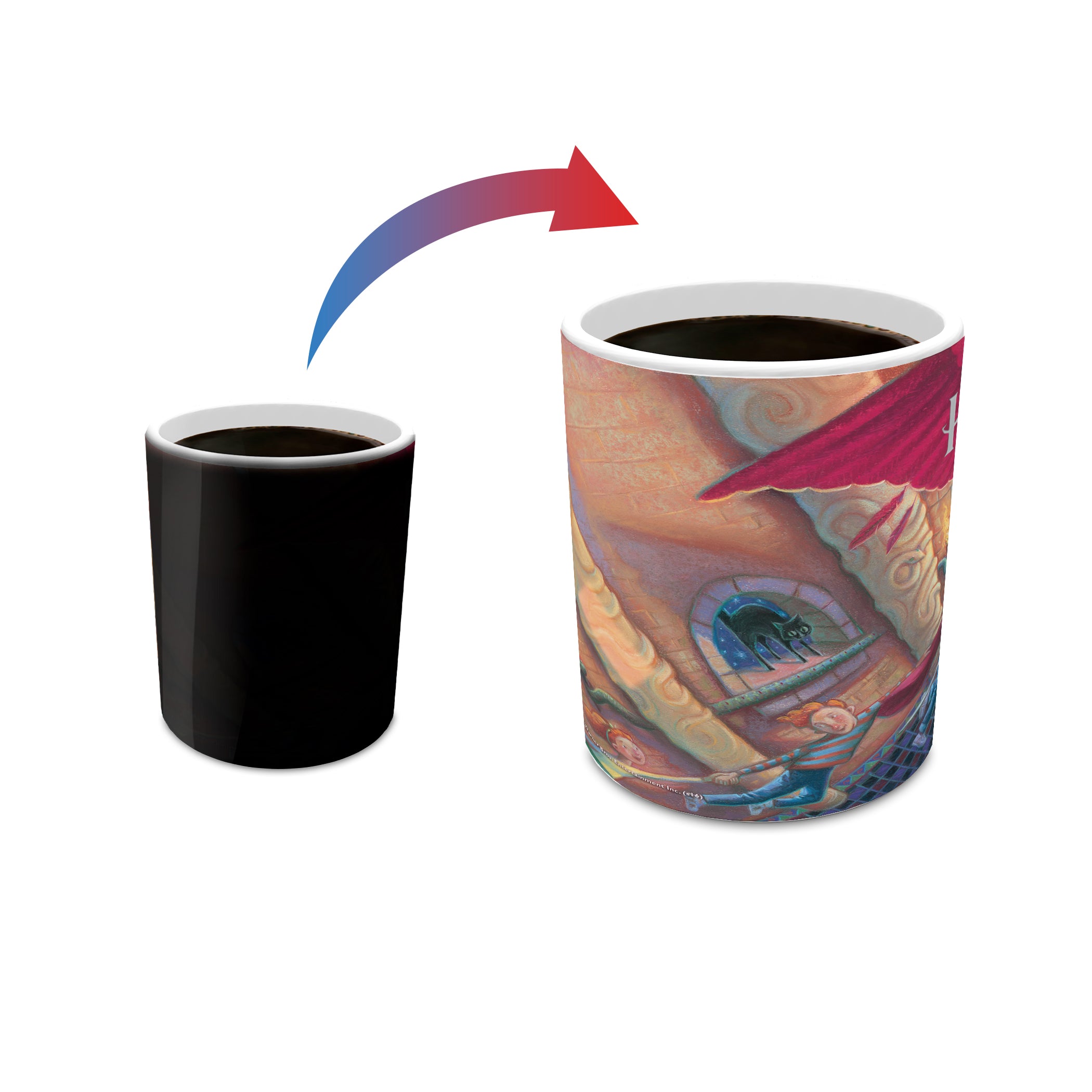 Harry Potter (The Chamber of Secrets) Morphing Mugs® Heat-Sensitive Mug MMUG464