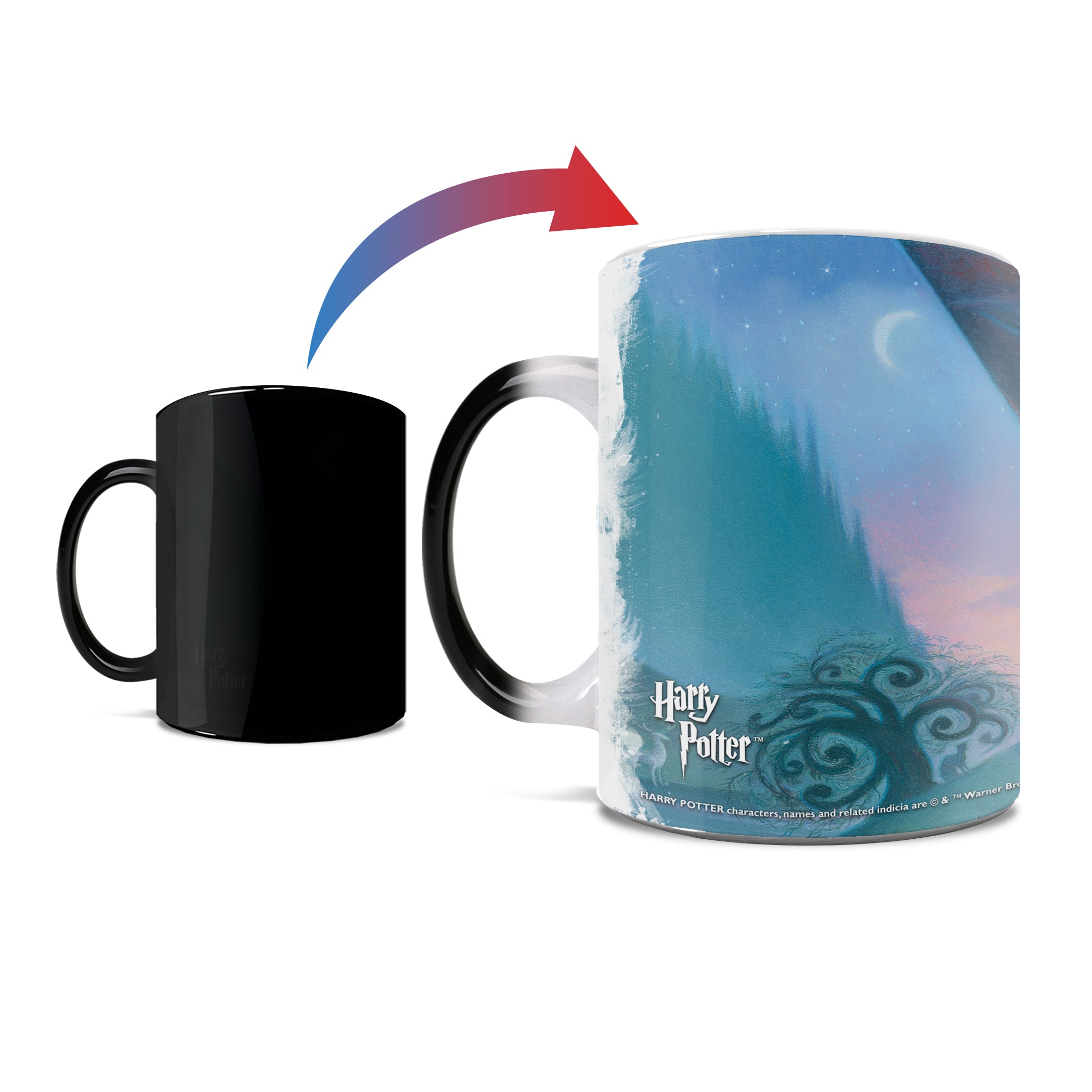 Harry Potter (The Prisoner of Azkaban) Morphing Mugs® Heat-Sensitive Mug MMUG465