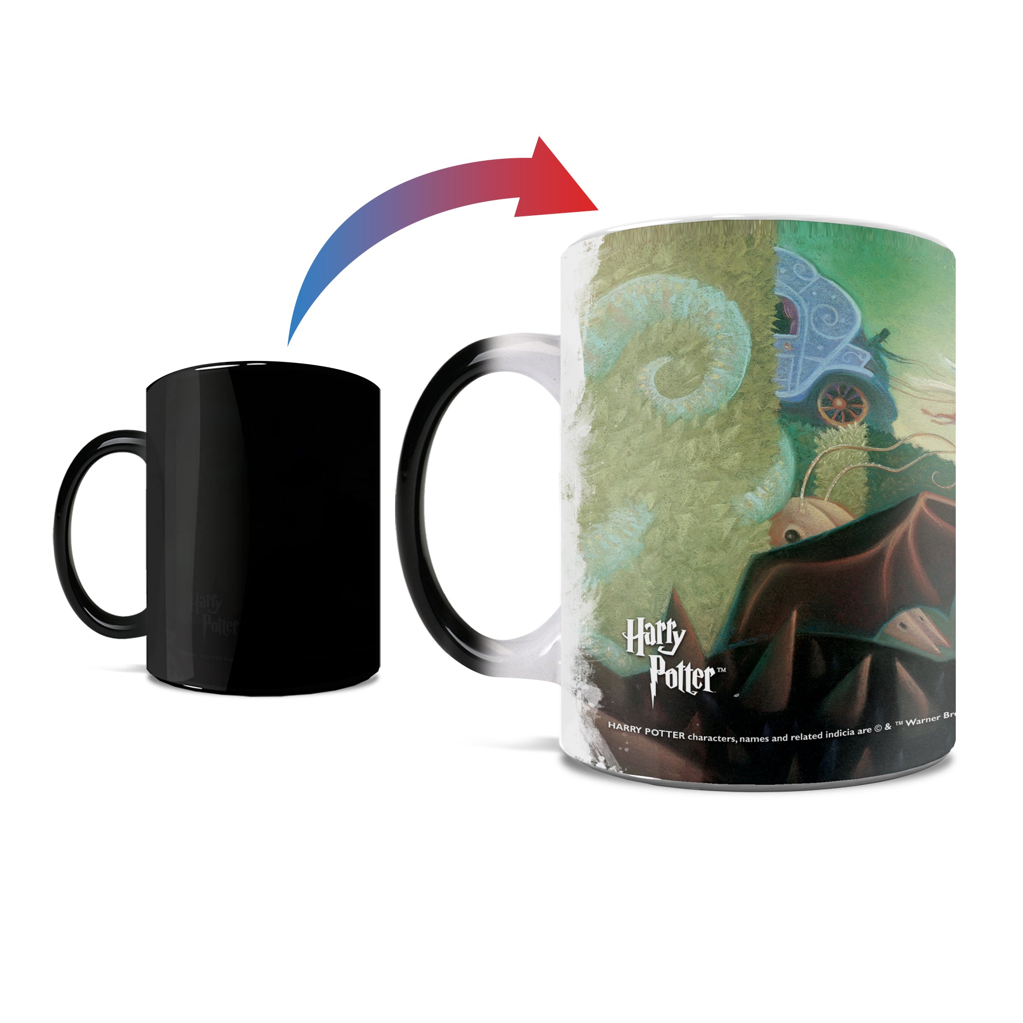 Harry Potter (The Goblet of Fire) Morphing Mugs® Heat-Sensitive Mug MMUG466