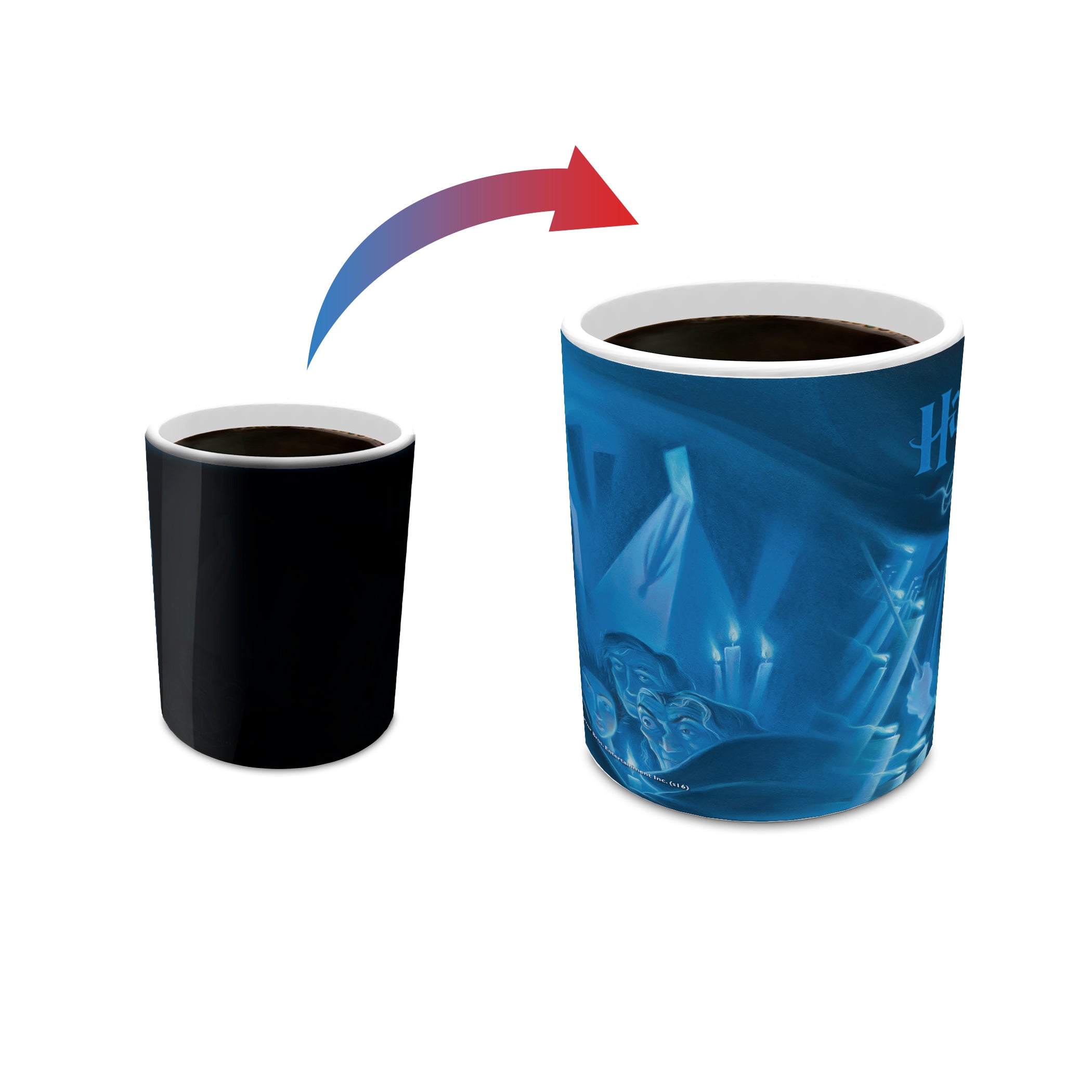 Harry Potter (The Order of the Phoenix) Morphing Mugs®  Heat-Sensitive Mug MMUG467