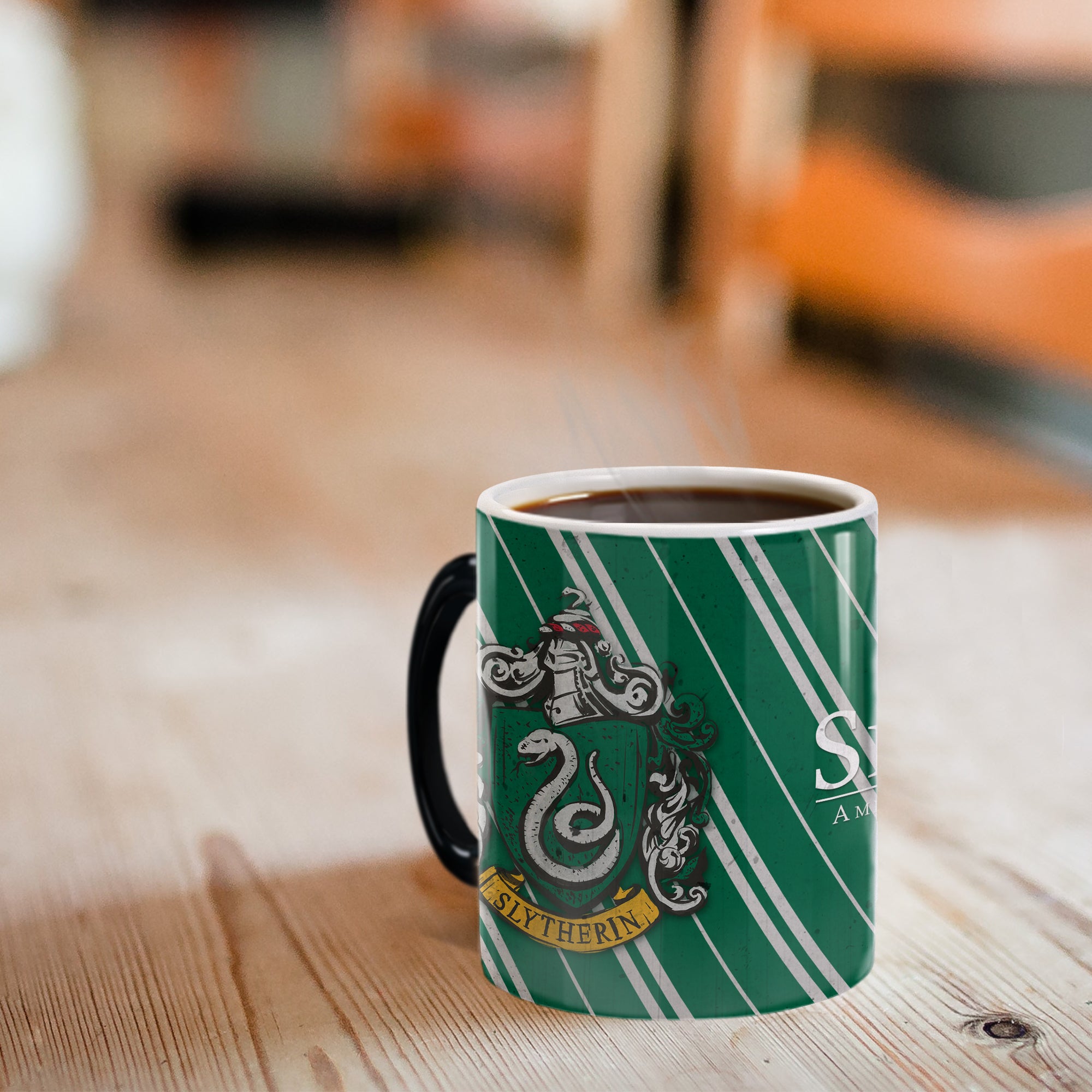 Harry Potter (Slytherin Colors)  Morphing Mugs® Heat-Sensitive Mug MMUG594