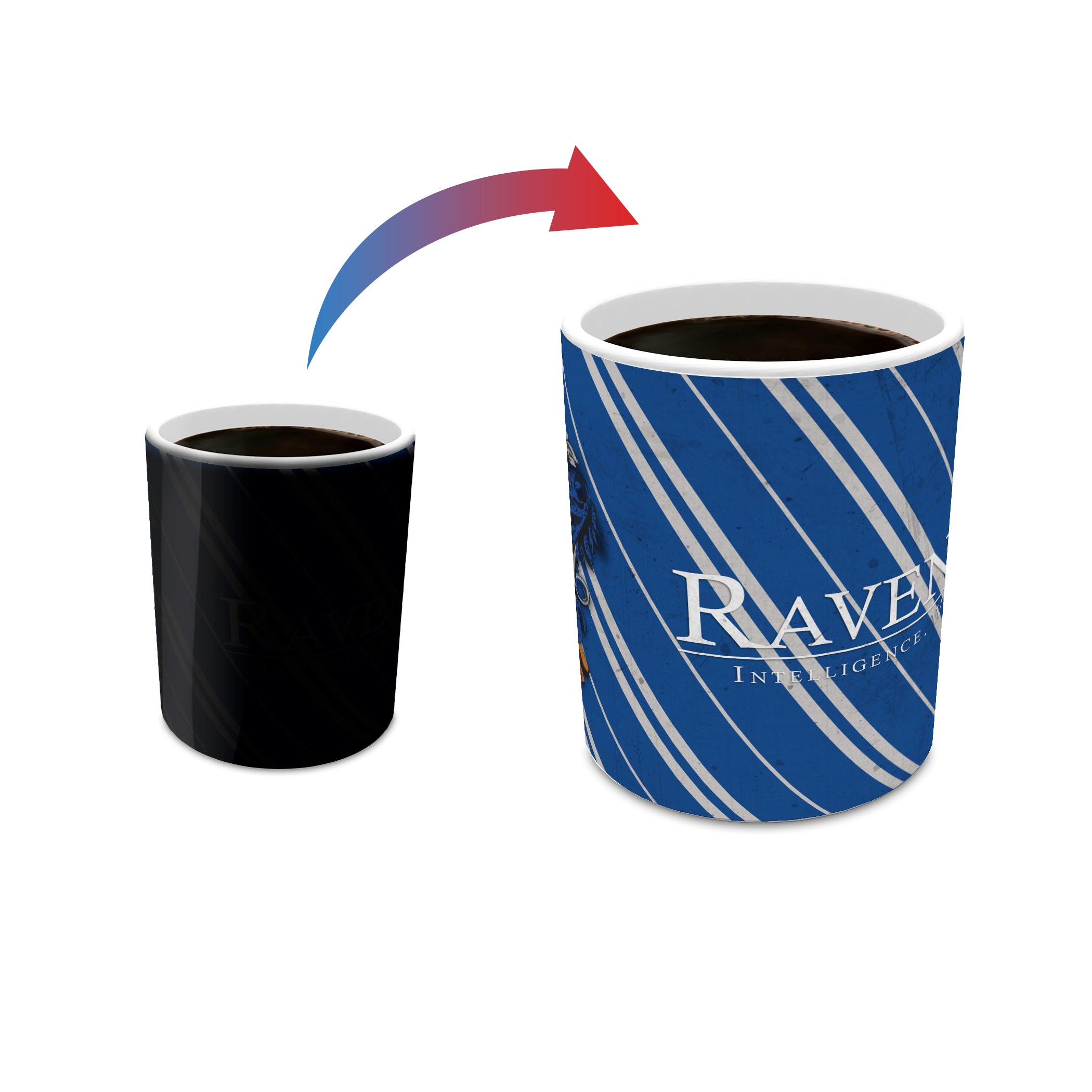 Harry Potter (Ravenclaw Colors)  Morphing Mugs® Heat-Sensitive Mug MMUG596