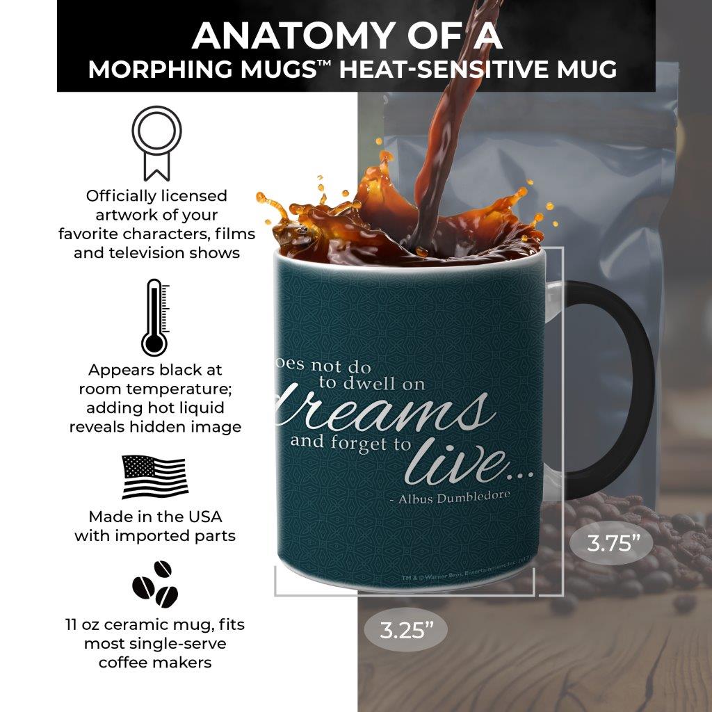 Harry Potter (Mirror of Erised) Morphing Mugs® Heat-Sensitive Mug MMUG602