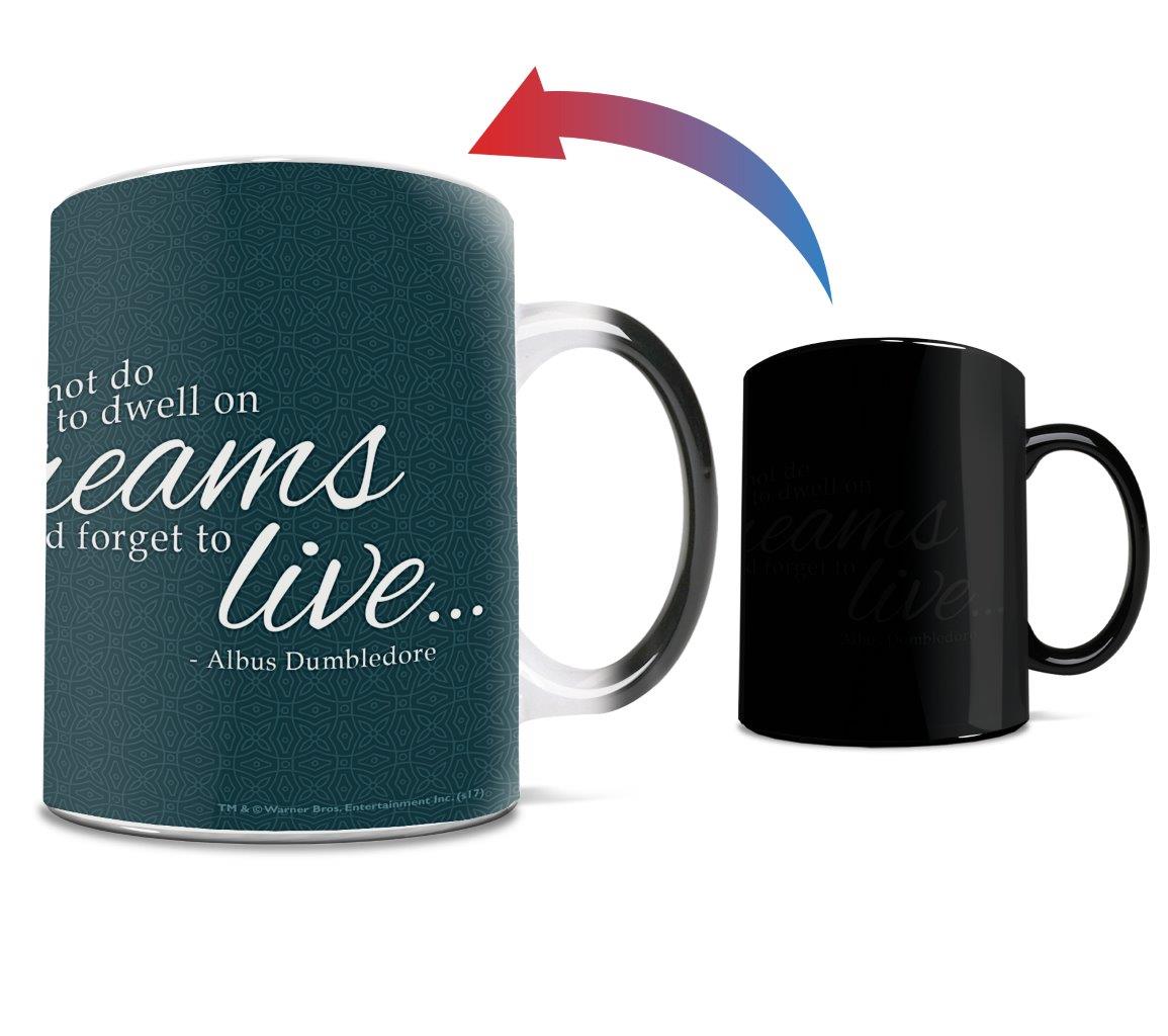 Harry Potter (Mirror of Erised) Morphing Mugs® Heat-Sensitive Mug MMUG602