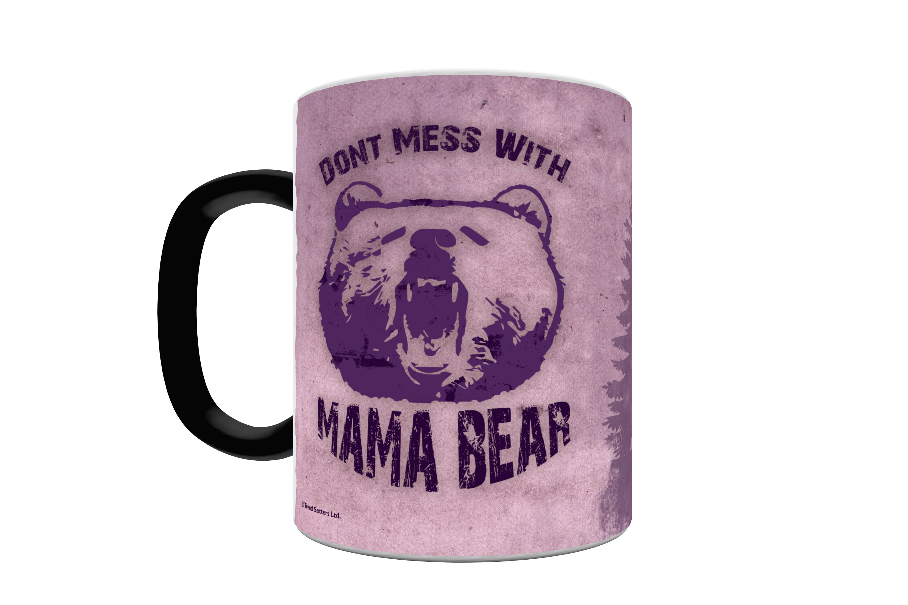 Parent Collection (Dont Mess With Mama Bear) Morphing Mugs® Heat-Sensitive Mug MMUG615