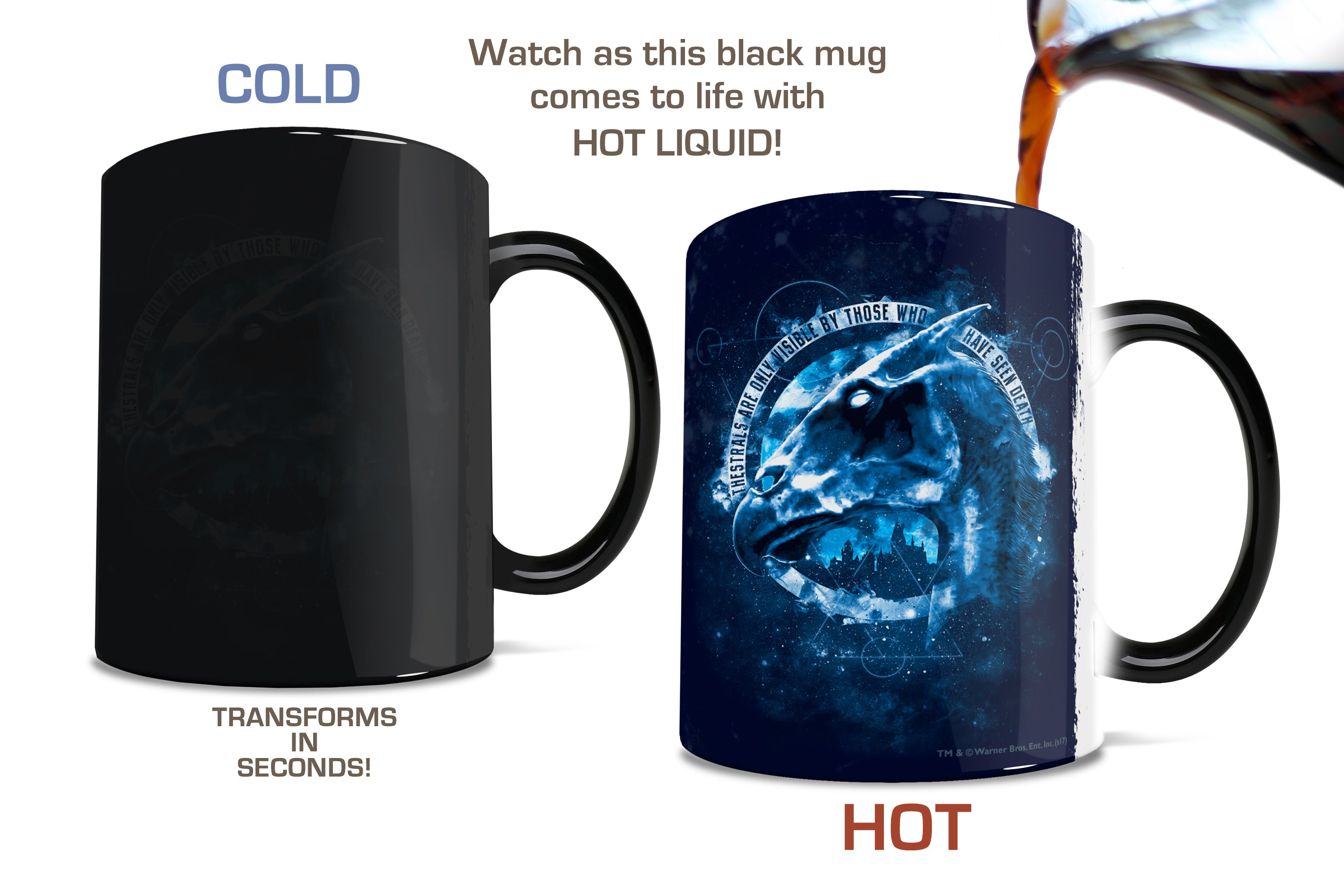 Harry Potter (Thestrals) Morphing Mugs® Heat-Sensitive Mug MMUG728