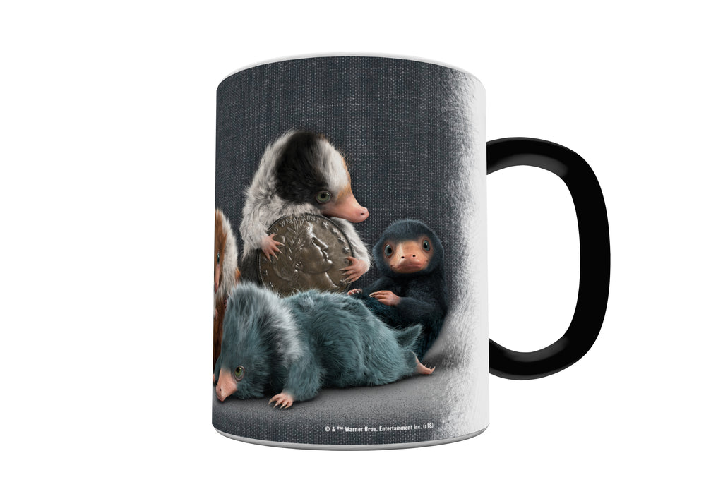 Fantastic Beasts: The Crimes of Grindelwald (Coin Thief) Morphing Mugs®  Heat-Sensitive Mug MMUG864