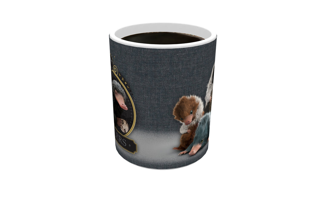 Fantastic Beasts: The Crimes of Grindelwald (Coin Thief) Morphing Mugs®  Heat-Sensitive Mug MMUG864