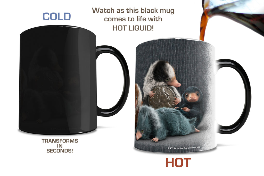 Fantastic Beasts: The Crimes of Grindelwald (Coin Thief) Morphing Mugs®  Heat-Sensitive Mug MMUG864