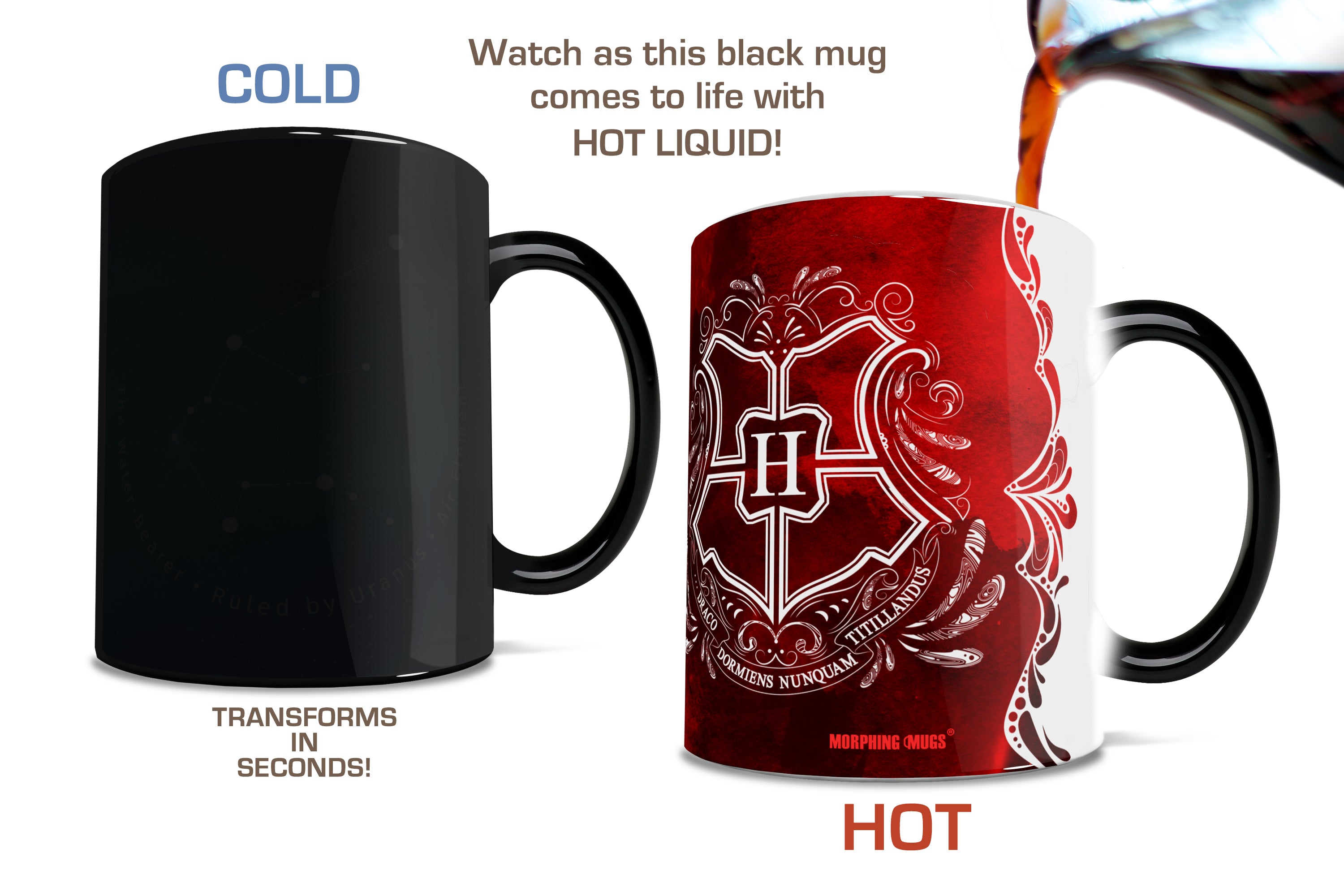 Harry Potter (Gryffindor- Aguamenti)  Morphing Mugs®  Heat-Sensitive Mug MMUG992