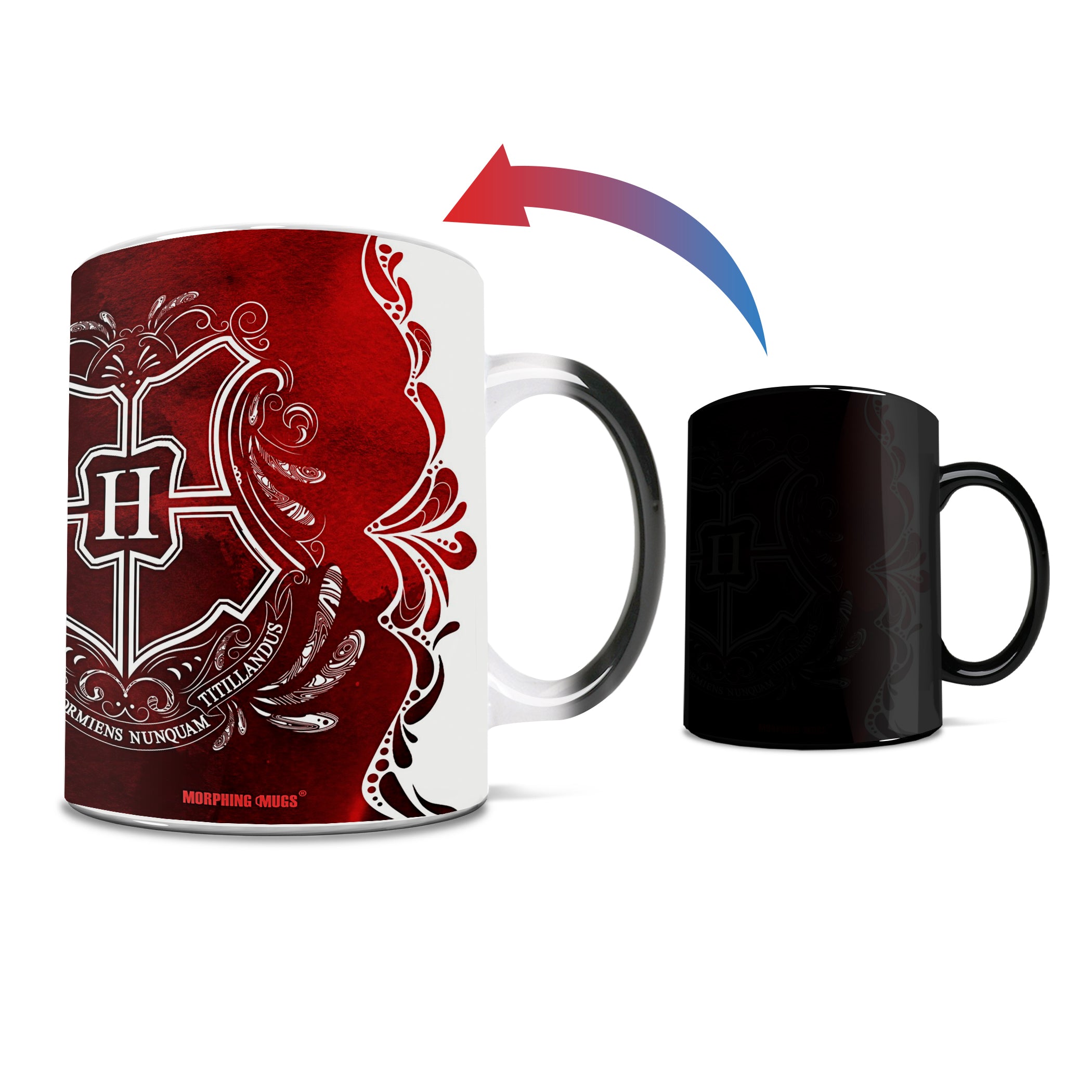 Harry Potter (Gryffindor- Aguamenti)  Morphing Mugs®  Heat-Sensitive Mug MMUG992