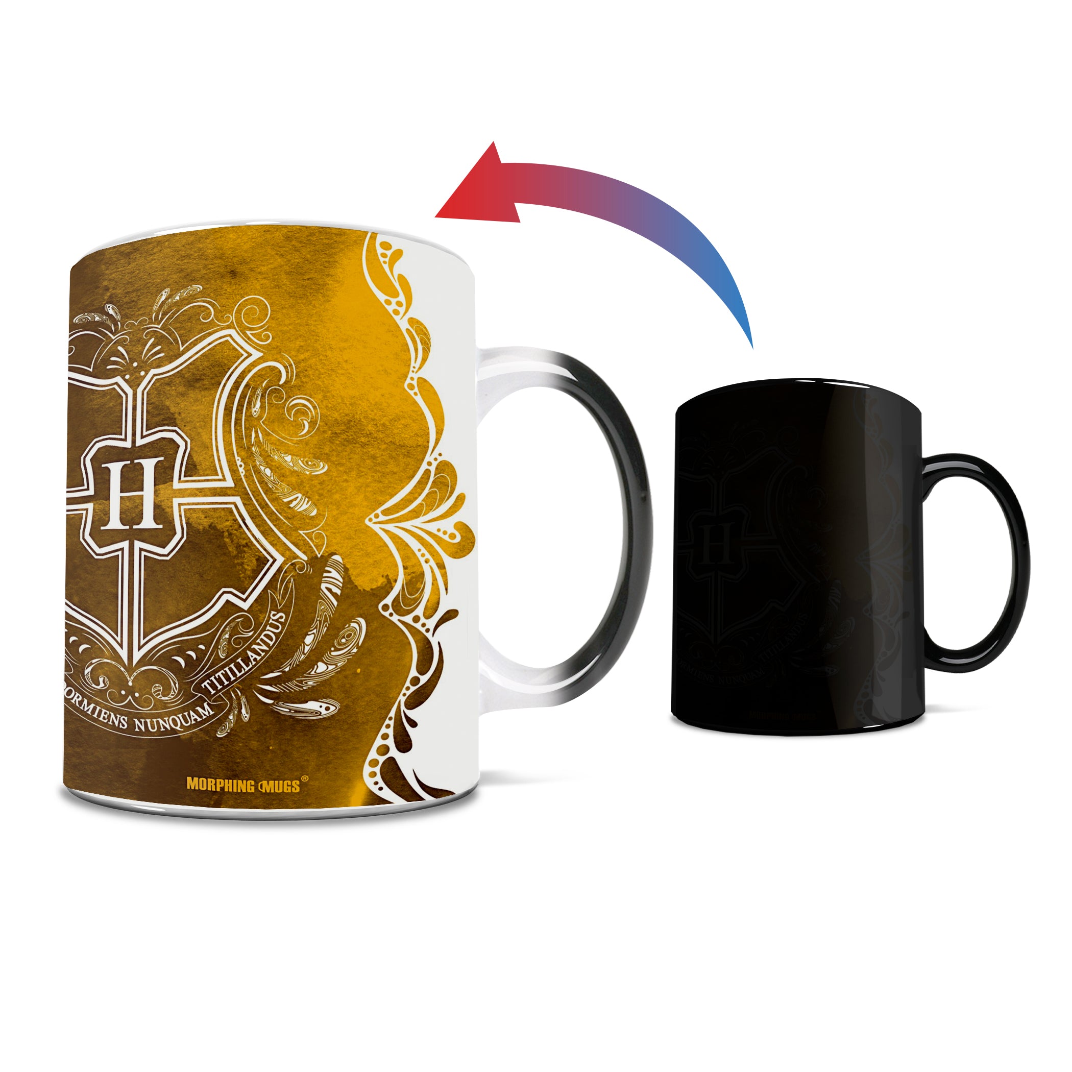 Harry Potter (Hufflepuff - Aguamenti ) Morphing Mugs® Heat-Sensitive Mug MMUG994