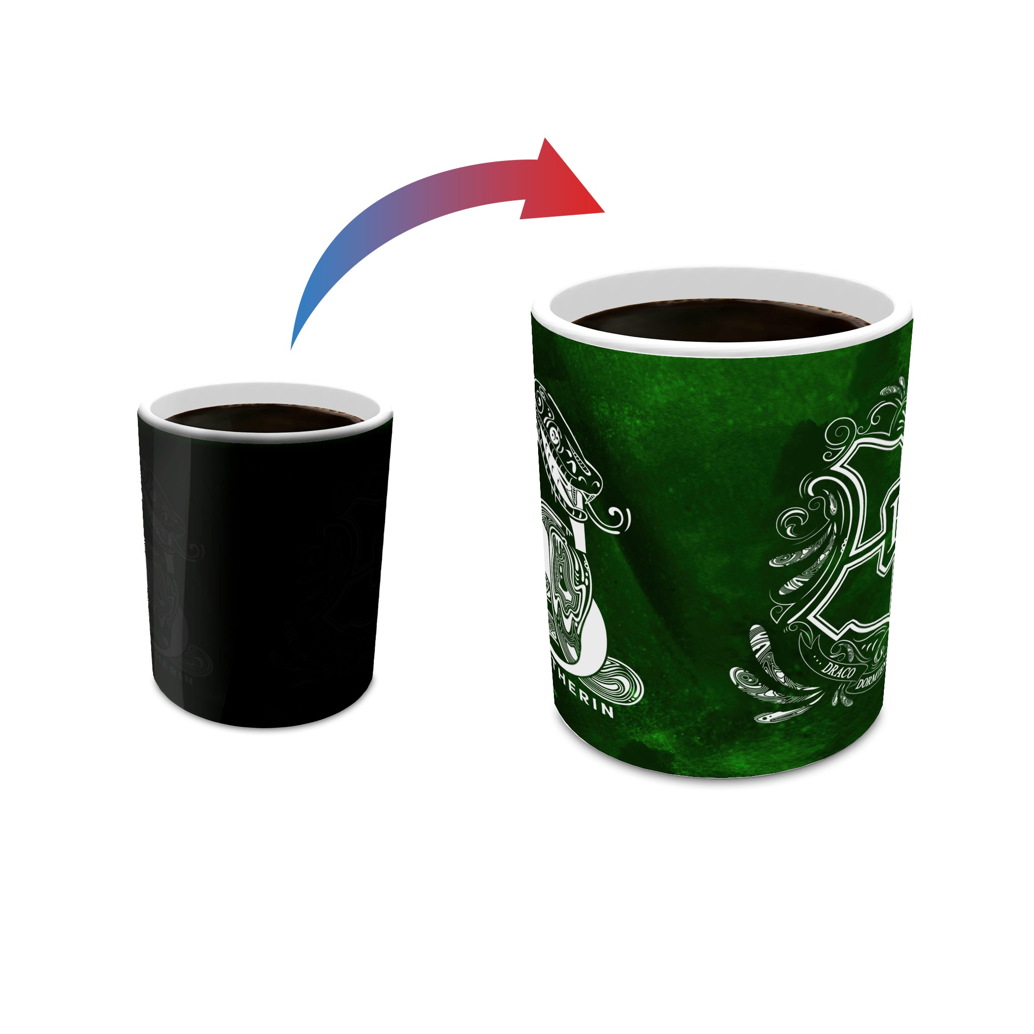 Harry Potter (Slytherin - Aguamenti) Morphing Mugs®  Heat-Sensitive Mug MMUG995